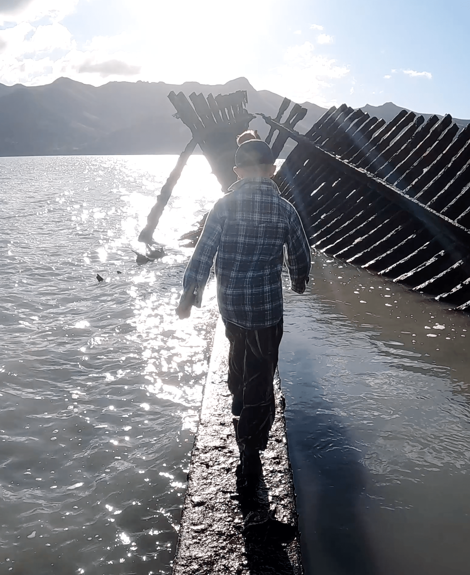 Back to Quail Island  &amp; Otemahua Hut