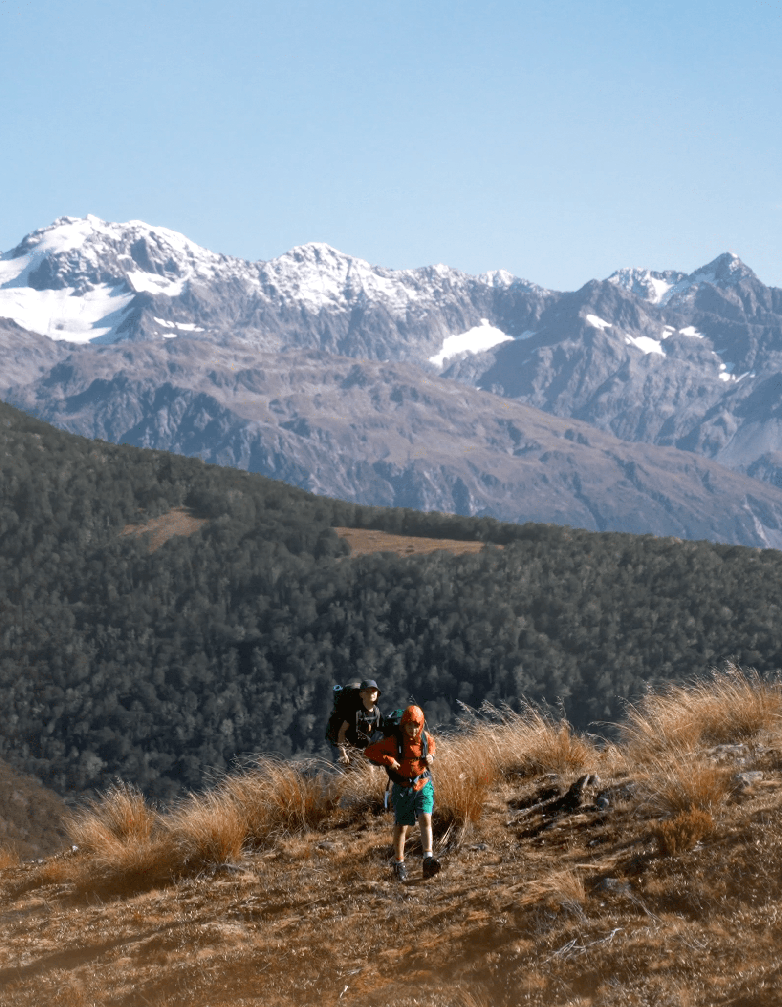Lagoon Saddle Tarns / Mount Bruce | Arthur's Pass National Park
