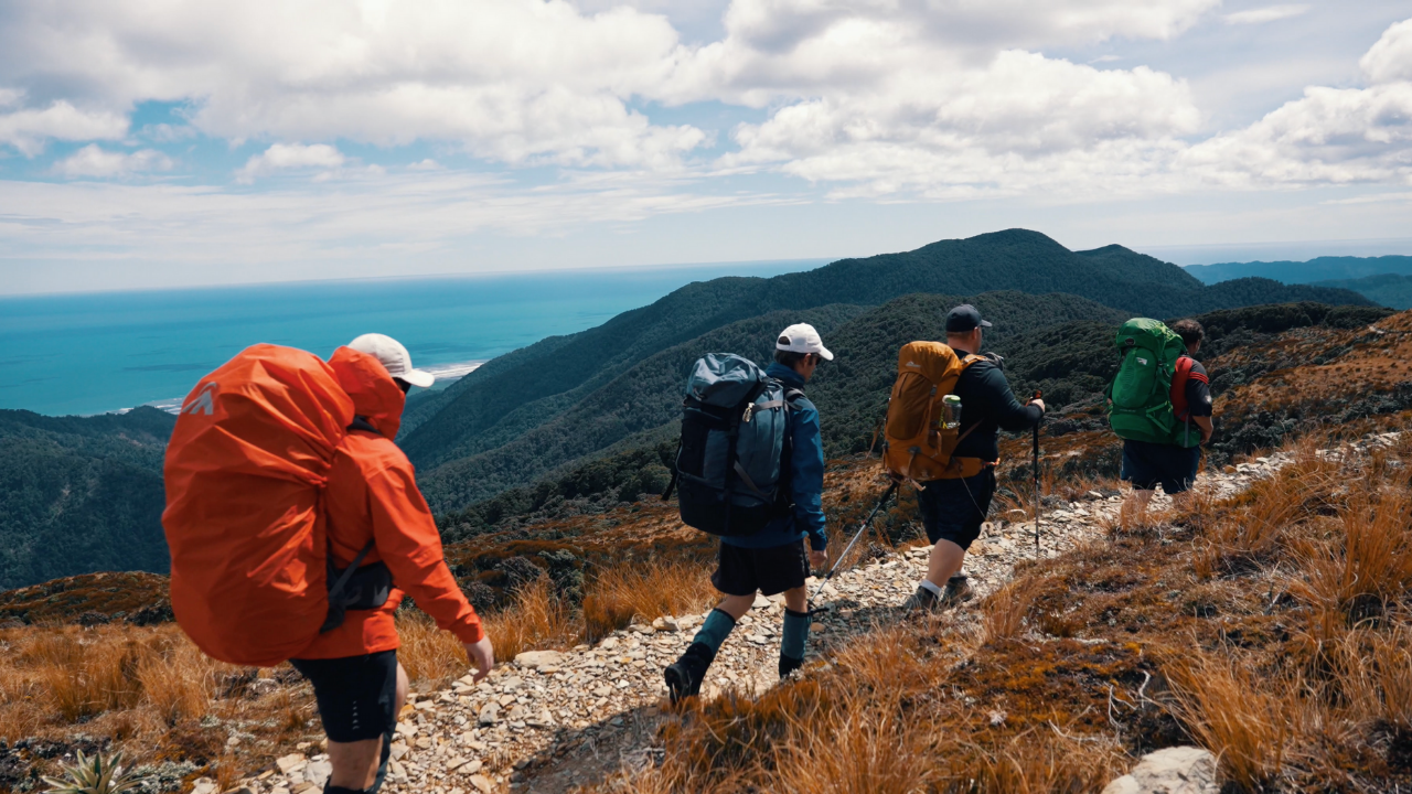 Paparoa Track | Paparoa National Park