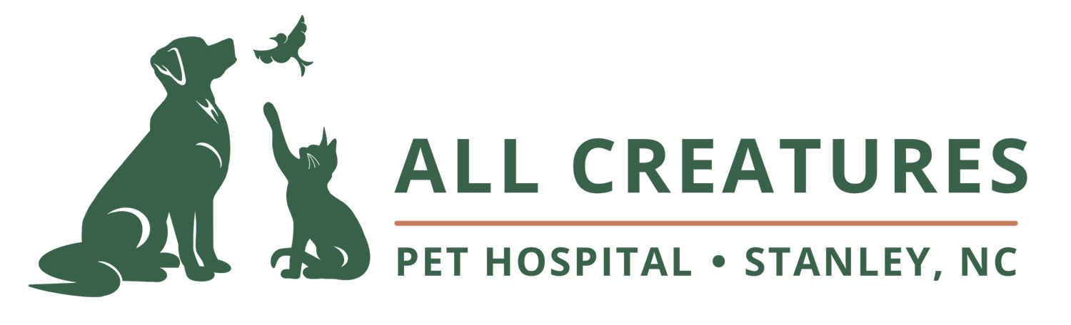 All Creatures Pet Hospital Stanley