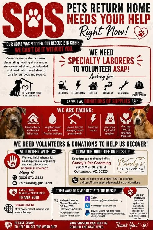 Urgent Help Needed: Pets Return Home Flood Recovery