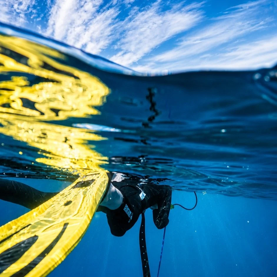 La mer comme terrain d'apprentissage !

Apprendre l'apn&eacute;e directement en mer permet de d&eacute;velopper ses sensations dans un environnement naturel. 

La m&eacute;diterran&eacute;e devient alors un v&eacute;ritable espace d'exploration.