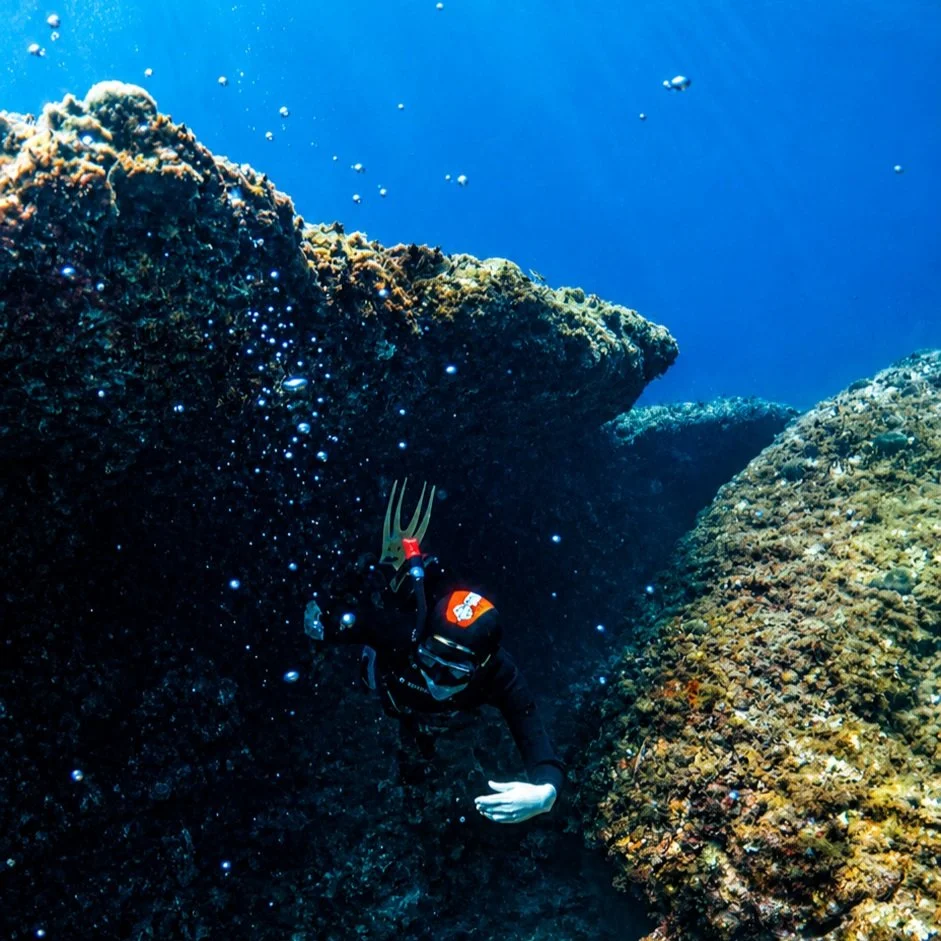 La C&ocirc;te Bleue, un terrain d'exploration exceptionnel !

De Carry le rouet aux environs de Marseille, la C&ocirc;te Bleue offre des paysages sous-marins magnifiques.

Des spots vari&eacute;s adapt&eacute;s &agrave; l'initiation comme au perfecti