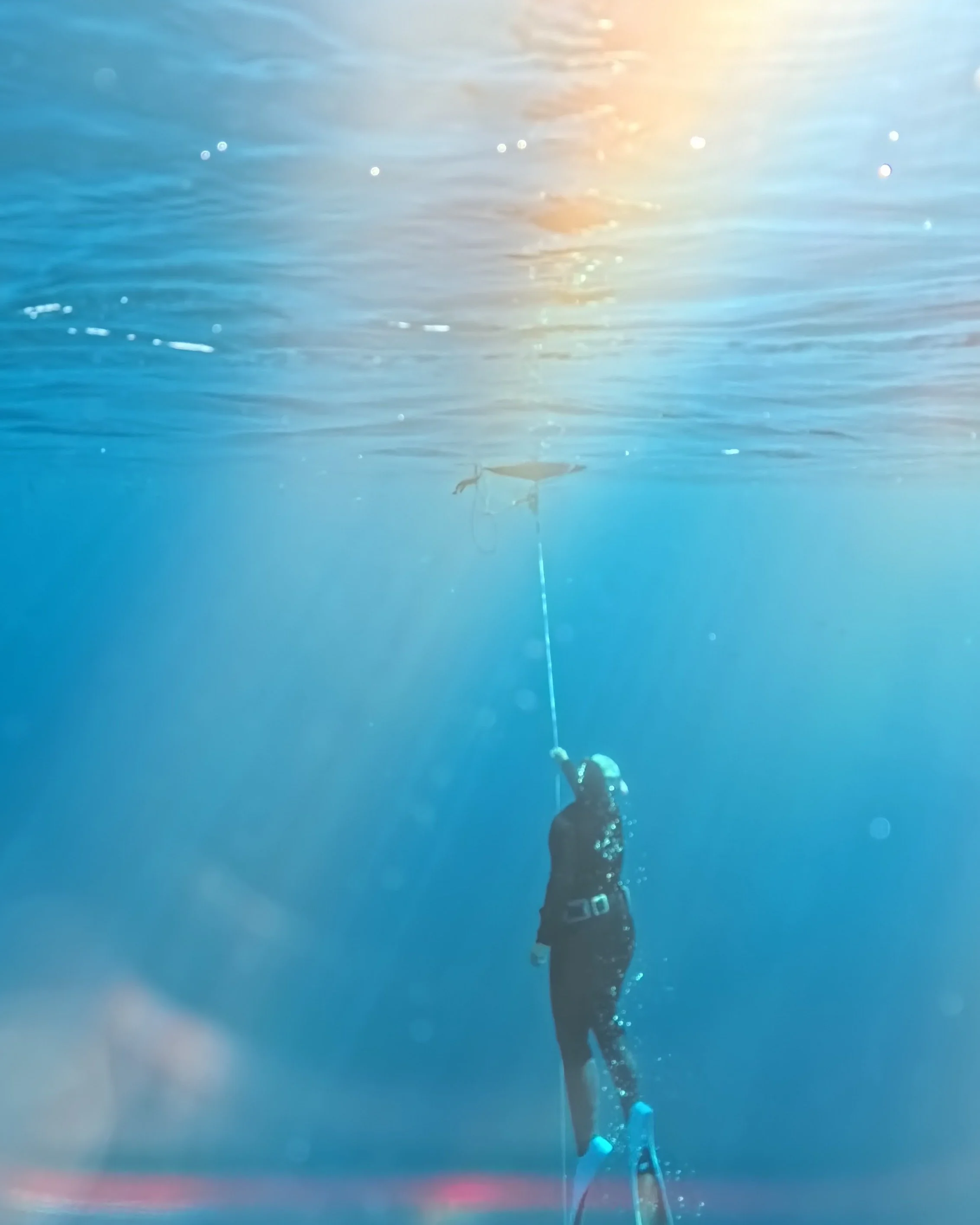 30 m&egrave;tres. 20 m&egrave;tres. 10 m&egrave;tres ... peu importe

Une belle session d'apn&eacute;e c'est celle o&ugrave; tu te sens simplement bien dans l'eau.

Une descente confortable.
Une compensation fluide.
Un retour en surface avec le souri