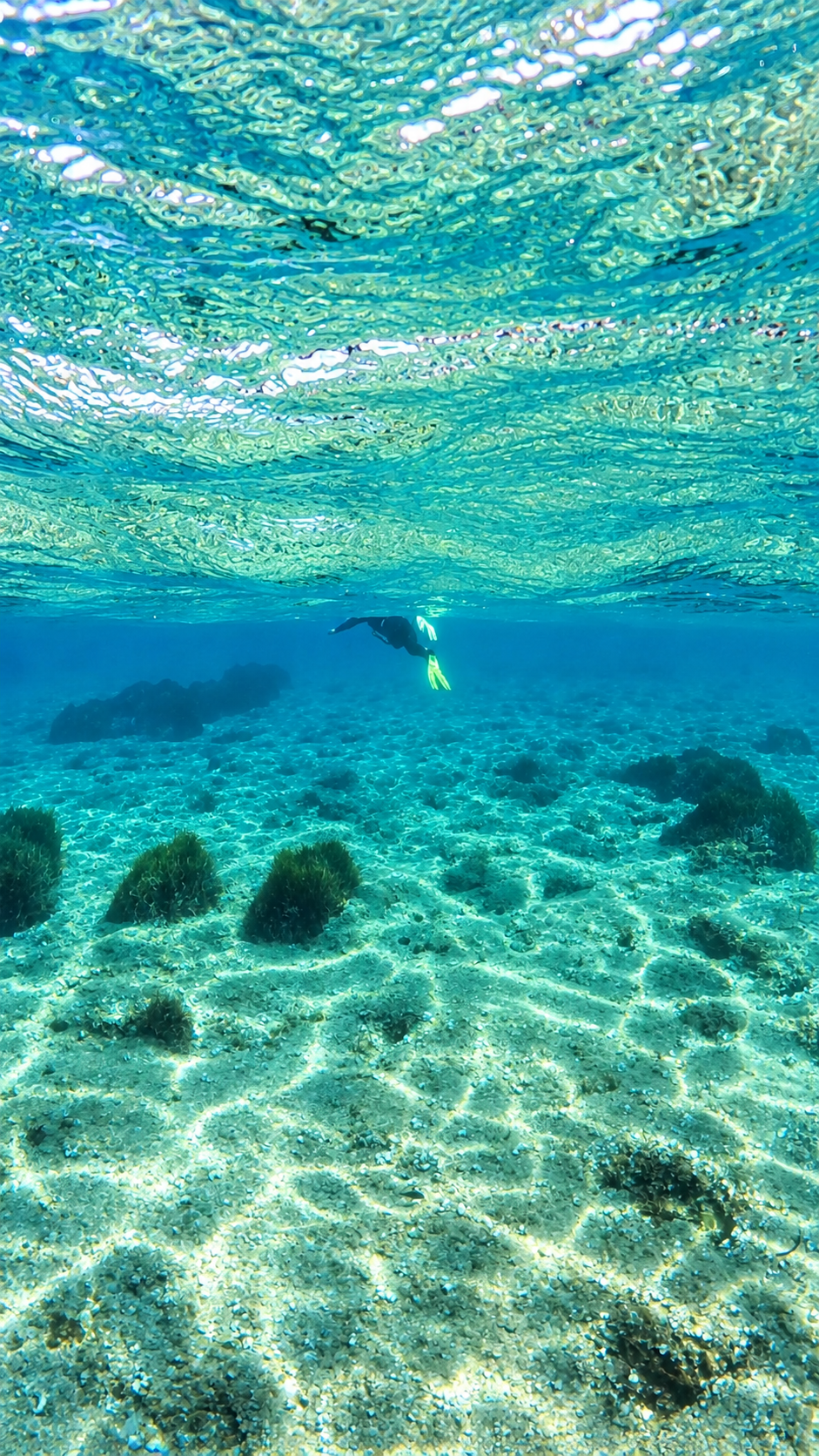 Plongée sous-marine dans une mer claire, vue sous l'eau avec un plongeur en combinaison de plongée, vue du fond de l'océan avec du sable, des rochers et des végétations sous-marines.