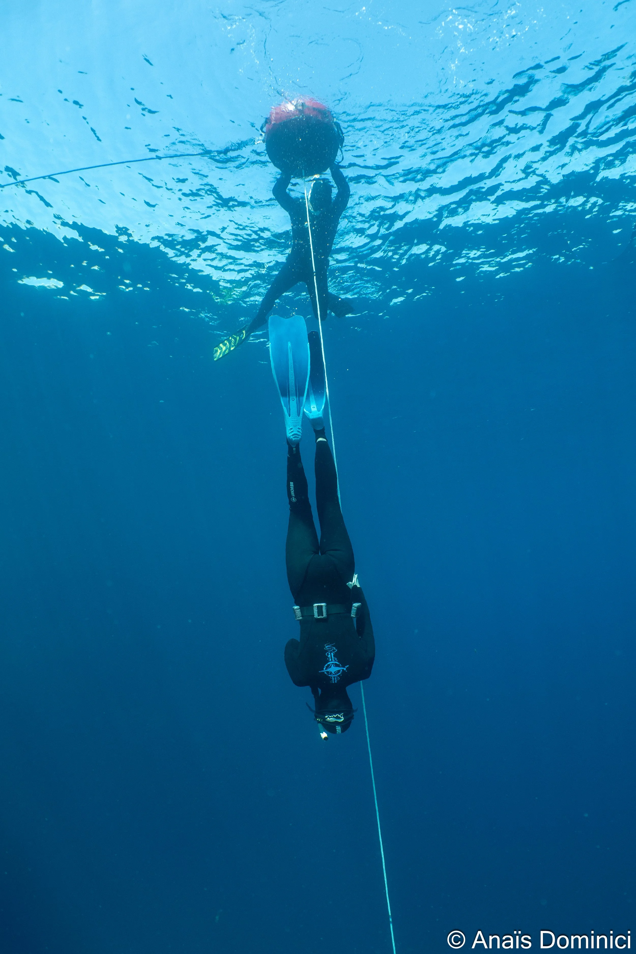 Une personne en plongée sous-marine, suspendue sous l'eau, tenant une corde tandis que l'autre personne nage au-dessus.