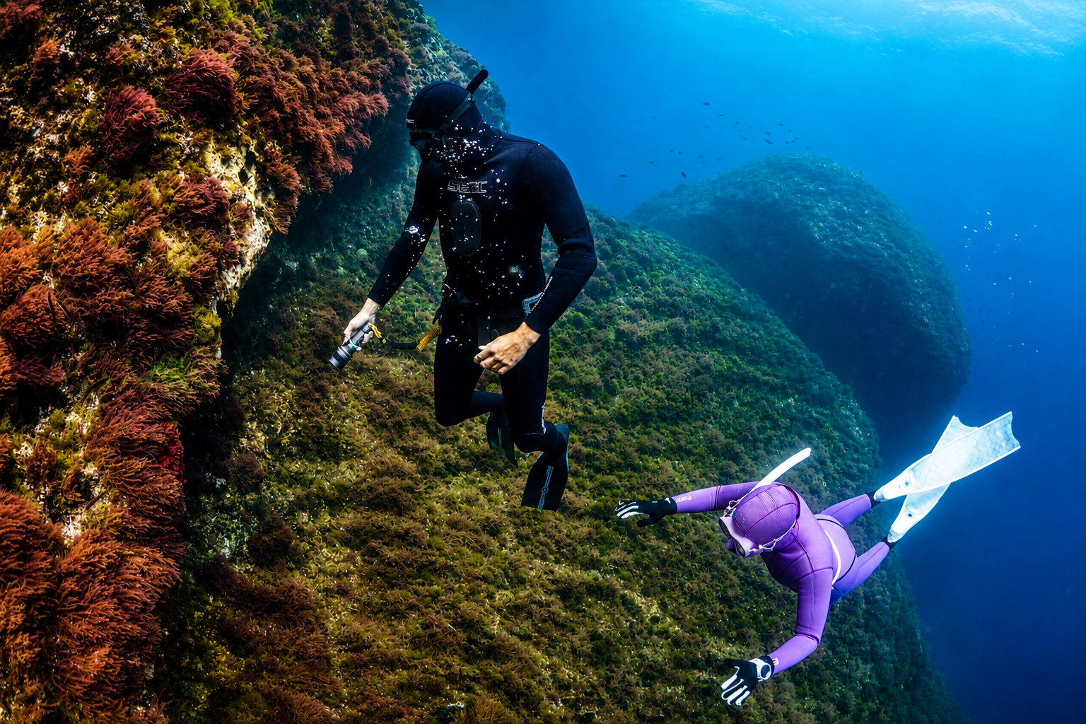Deux plongeurs explorant un récif corallien sous l'eau, entourés de coraux colorés et de poissons en toile de fond.
