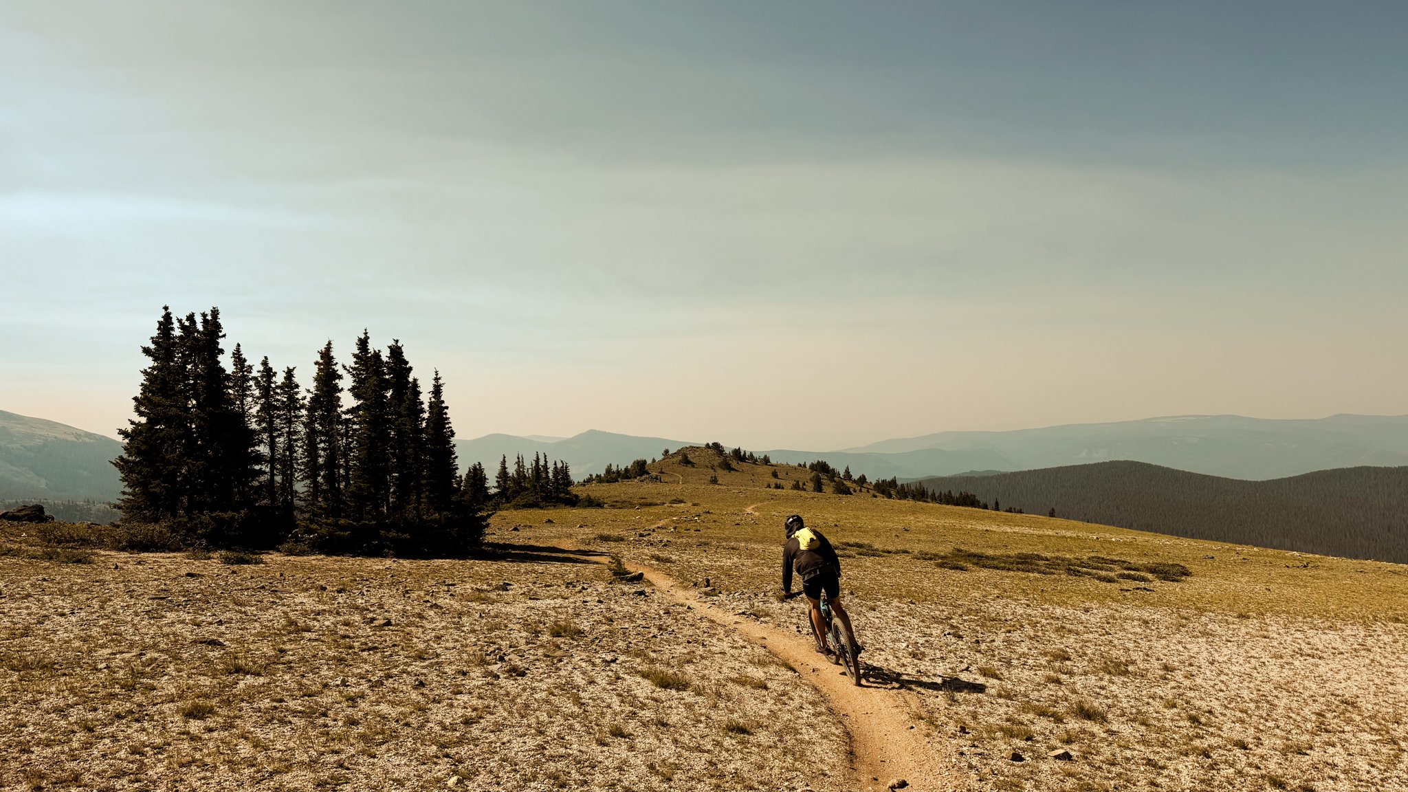 Person mountain biking on a dirt trail in an open field with trees and distant mountains under a cloudy sky