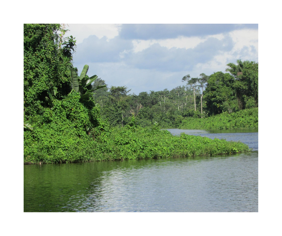 Suriname River