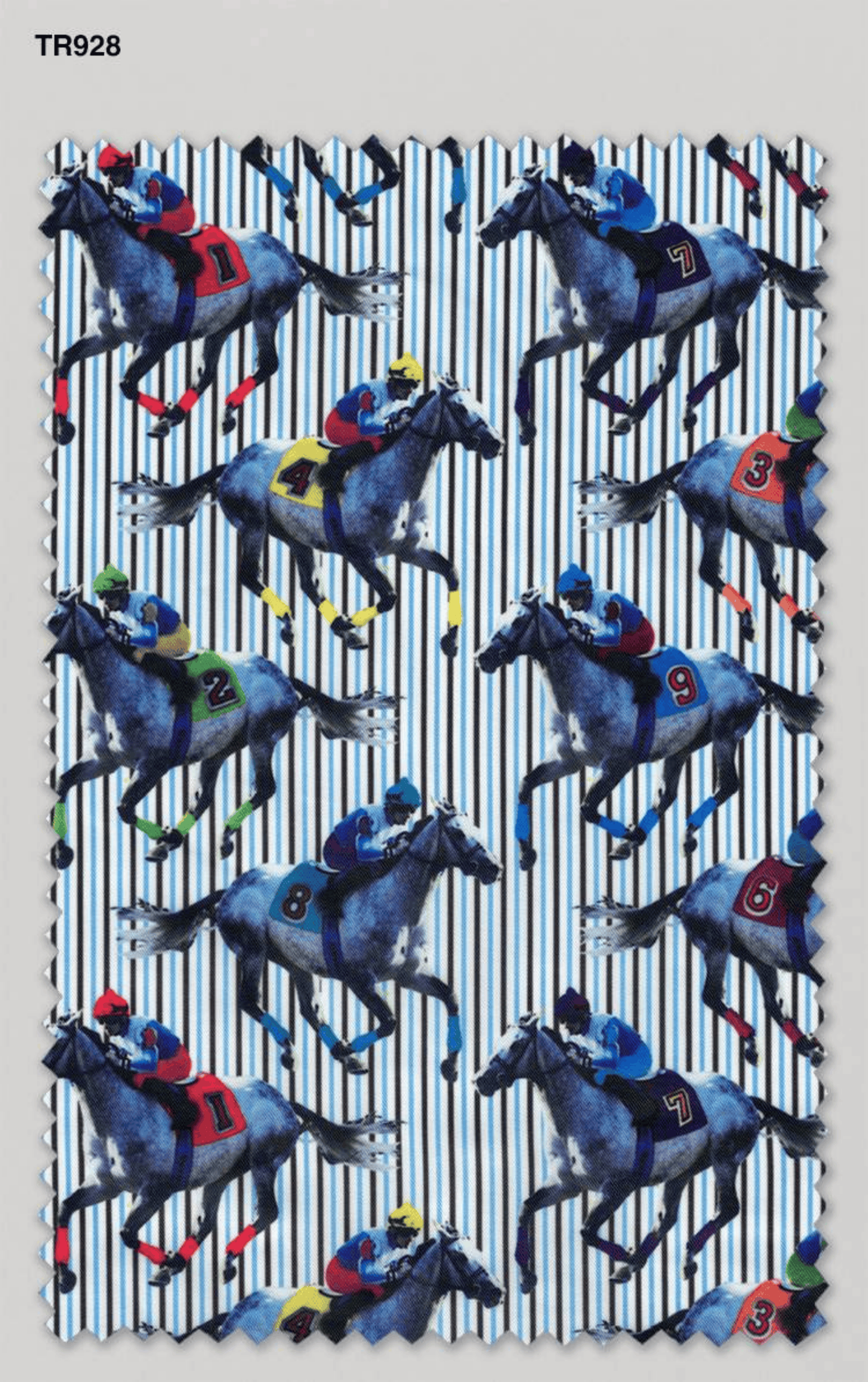 Distinctive-Linings_Final-compressed-43.png