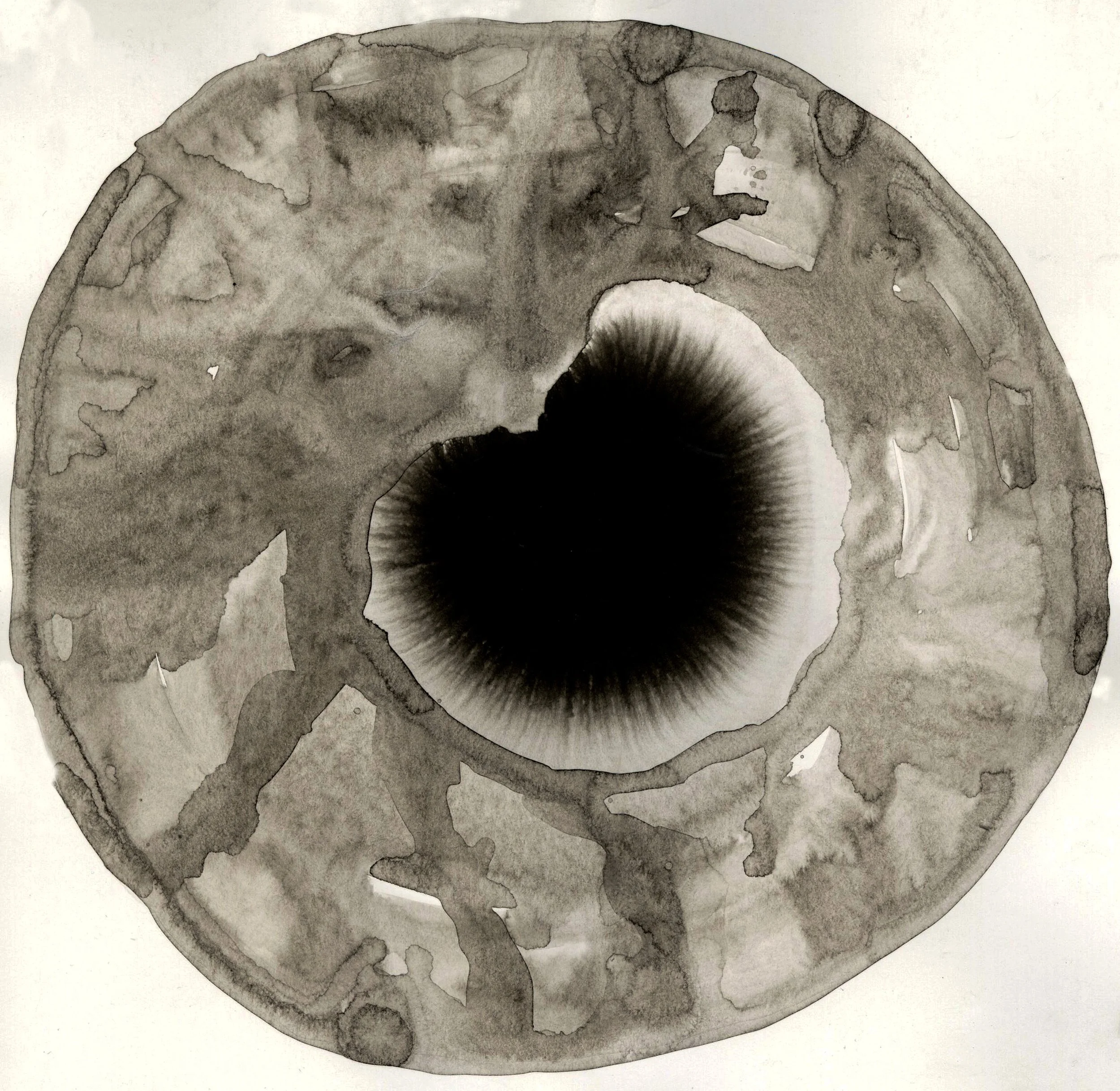 Ink Image _2.jpg