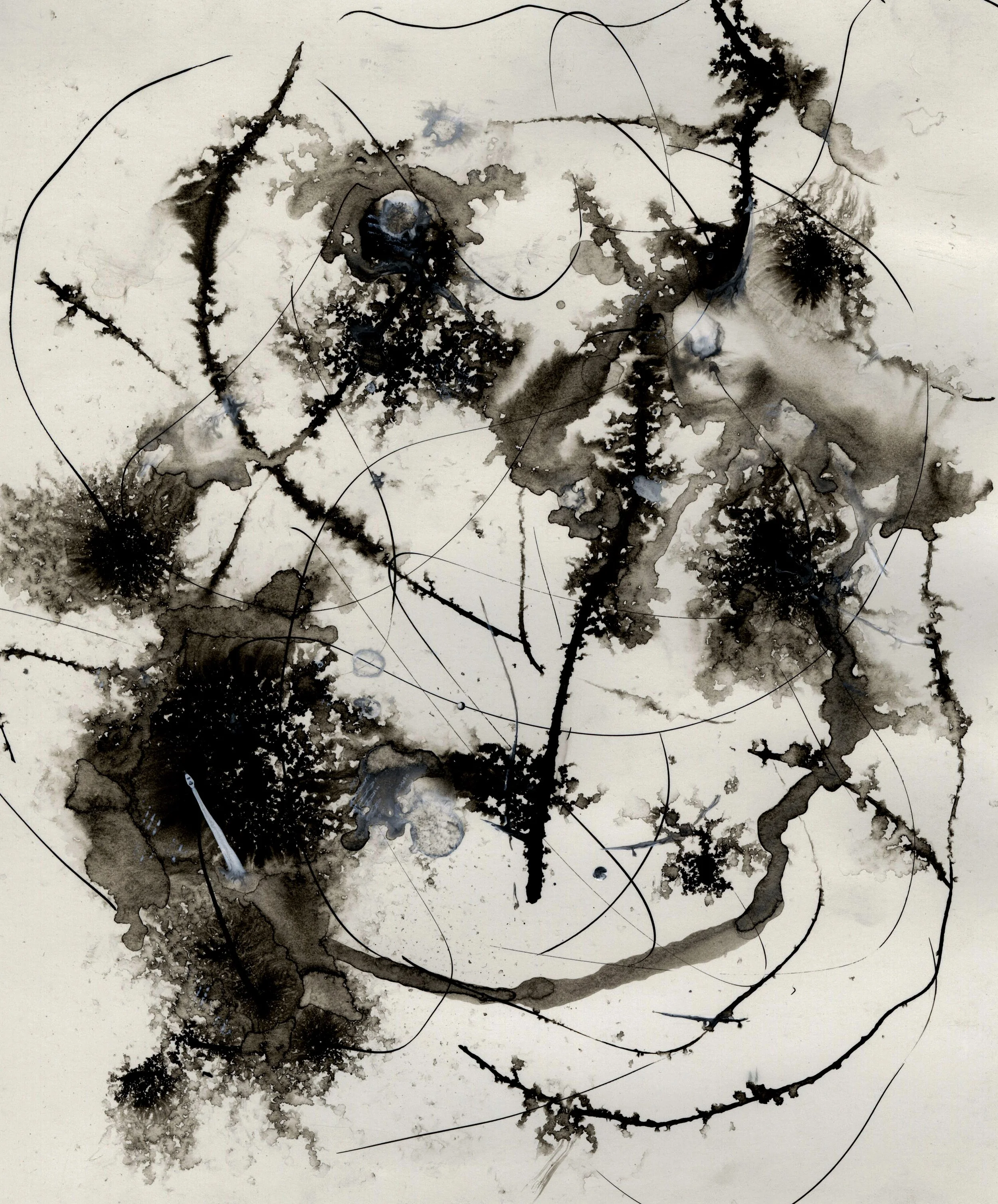Ink Image _4.jpg