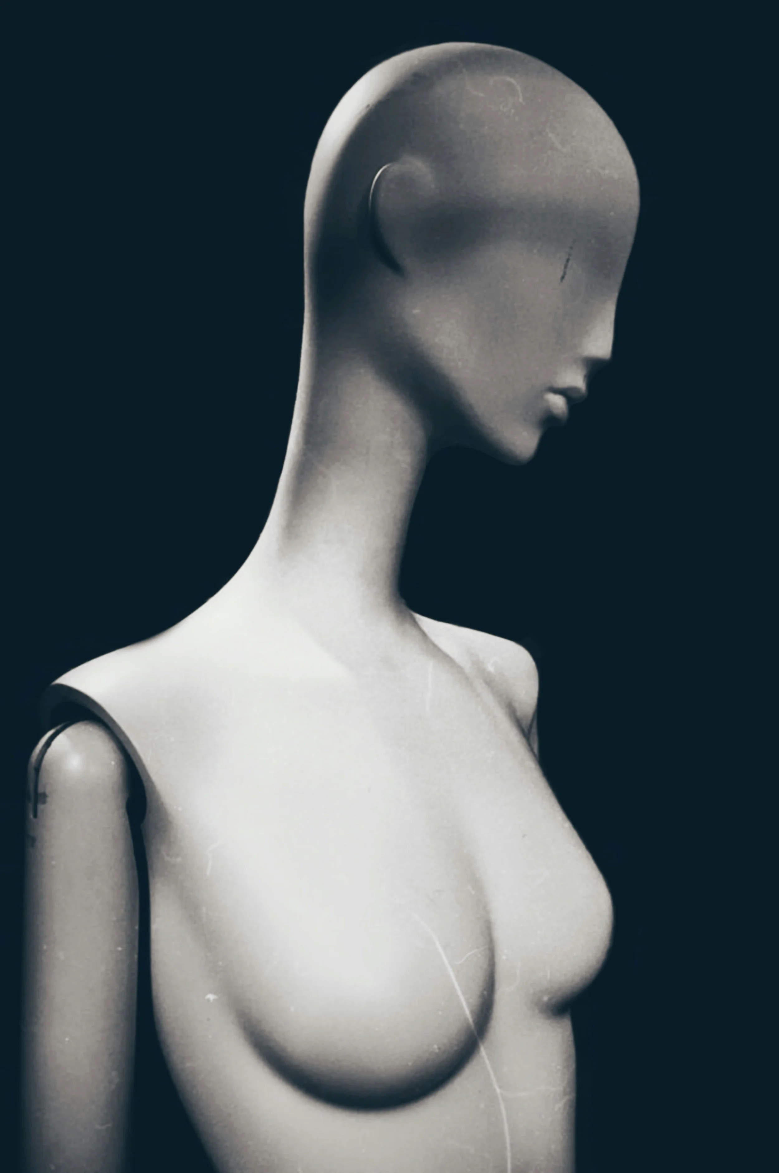 Full bust image.jpg