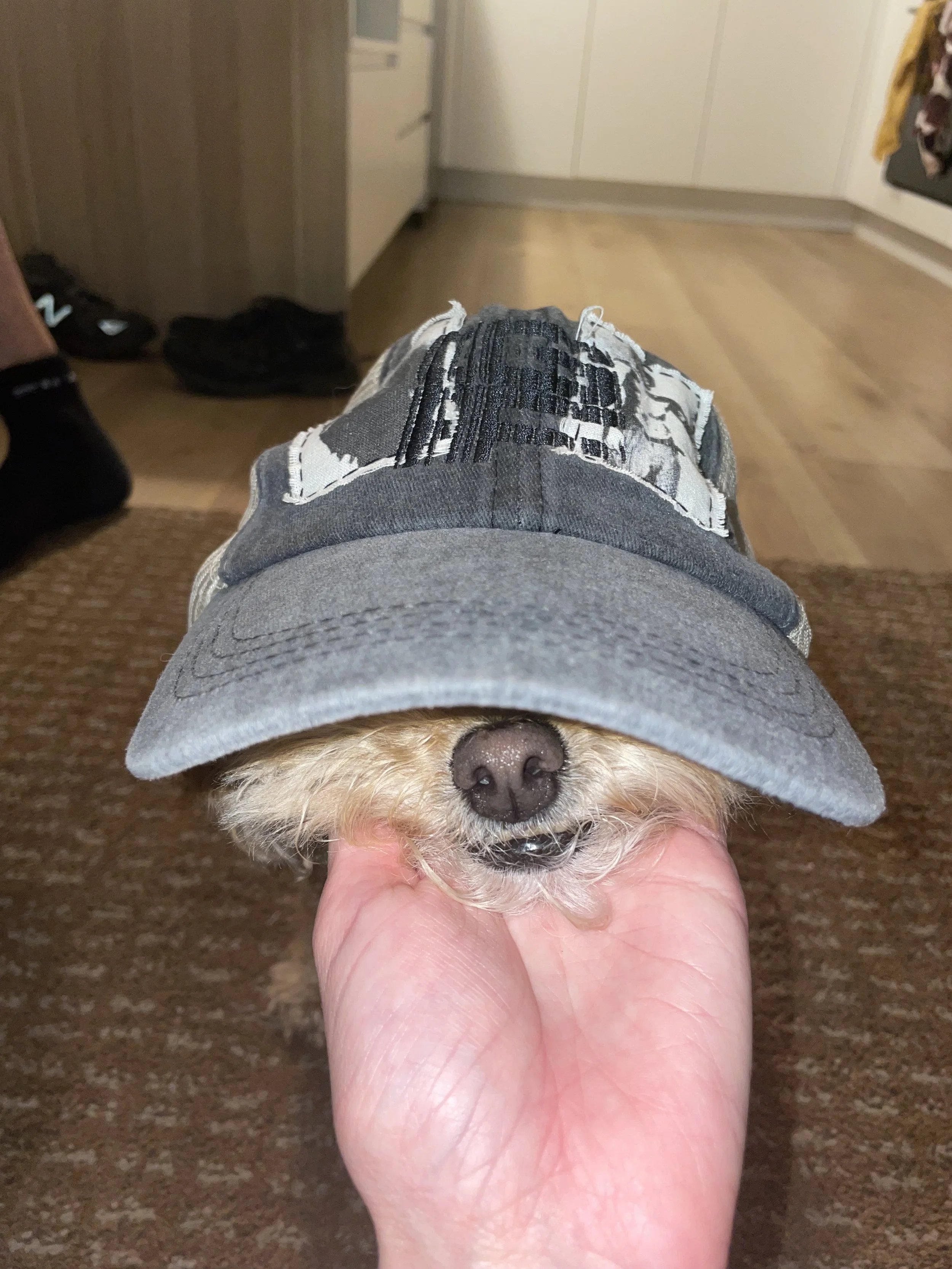 IMG_6623.jpeg