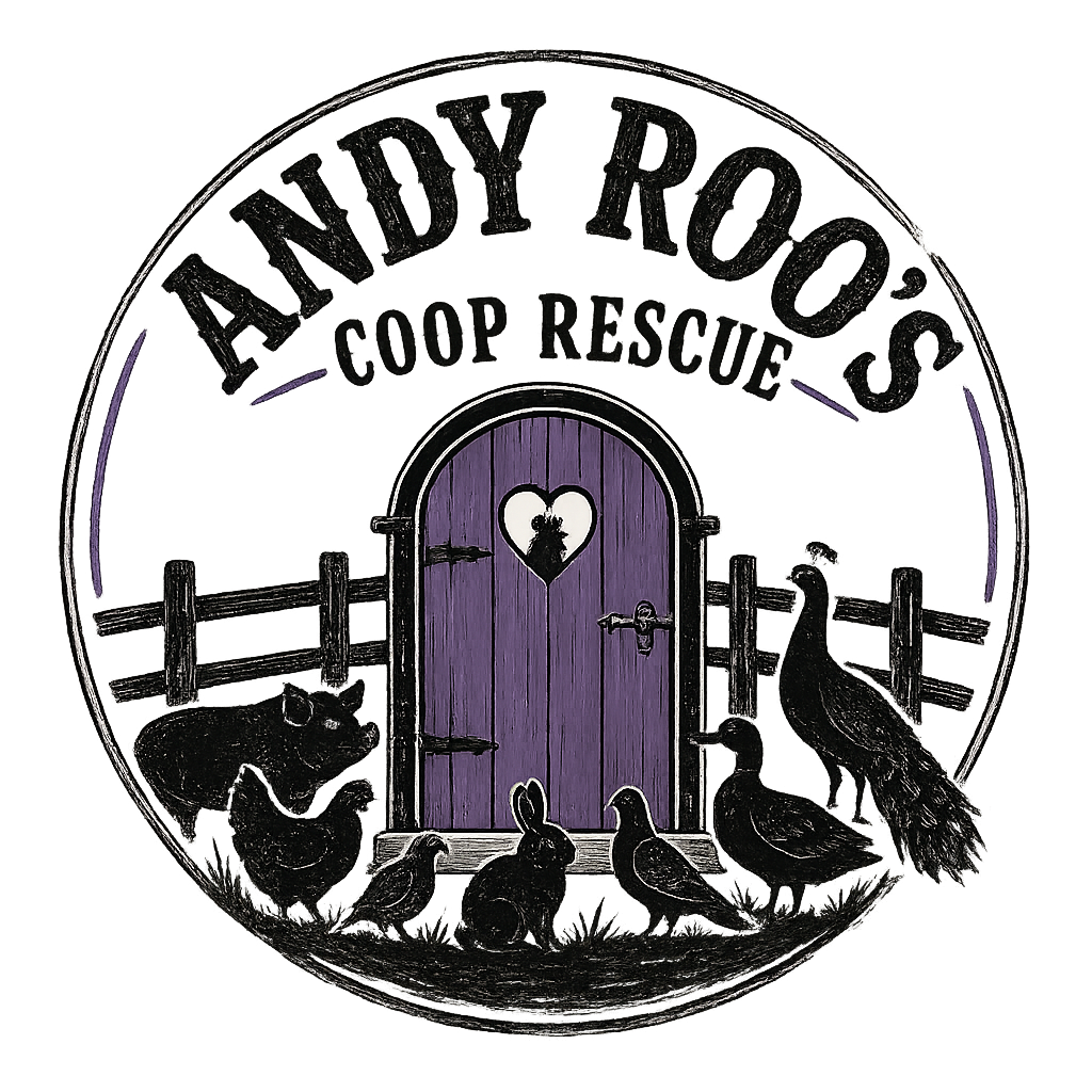 Andy Roo's Coop Rescue