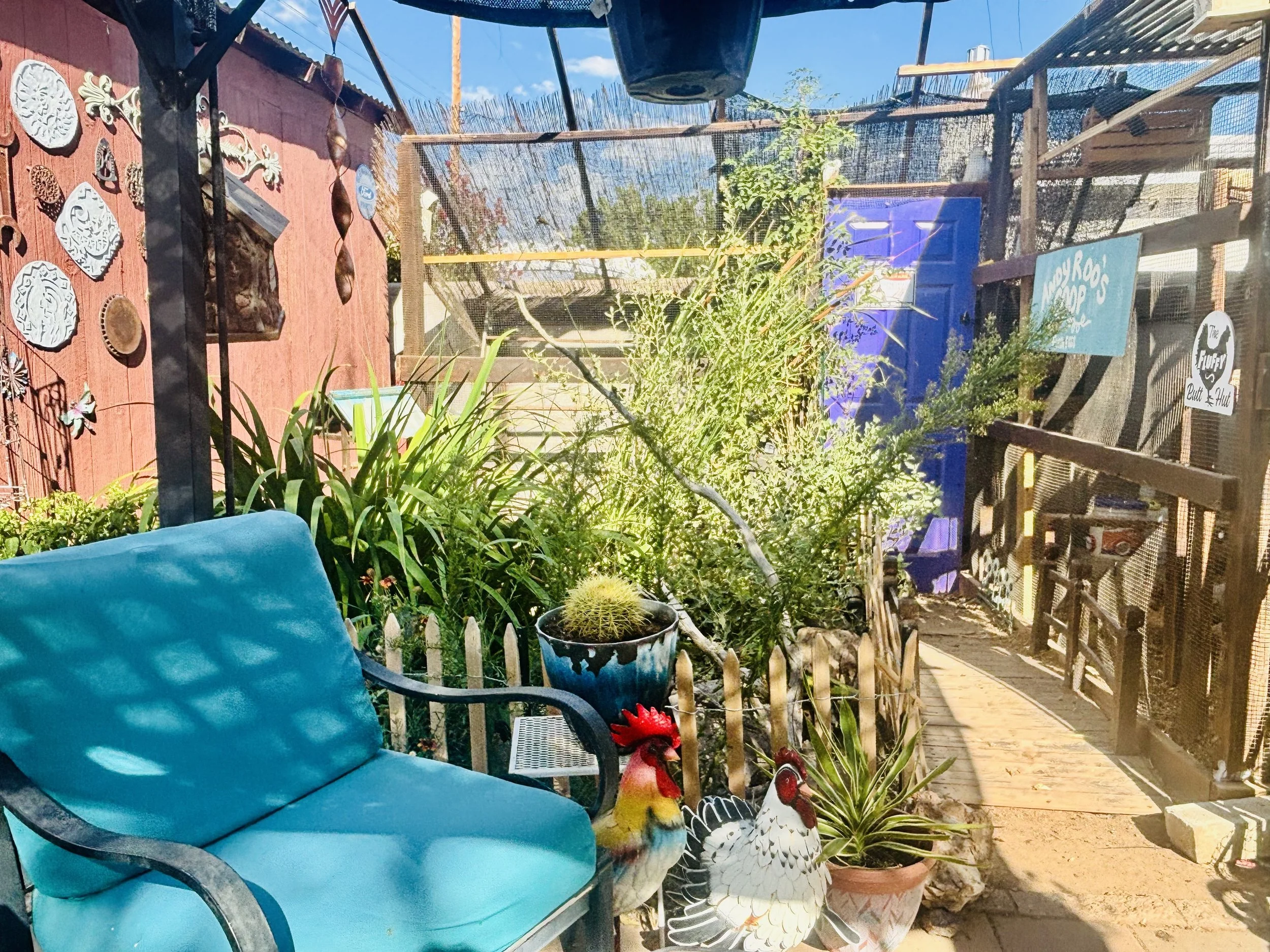 A cozy outdoor patio with a turquoise cushioned metal chair, various decorative rooster and chicken figures, green indoor plants, and a fenced yard with a blue shed.