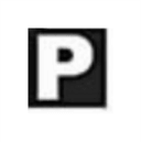 Black and white icon of the letter P in a square