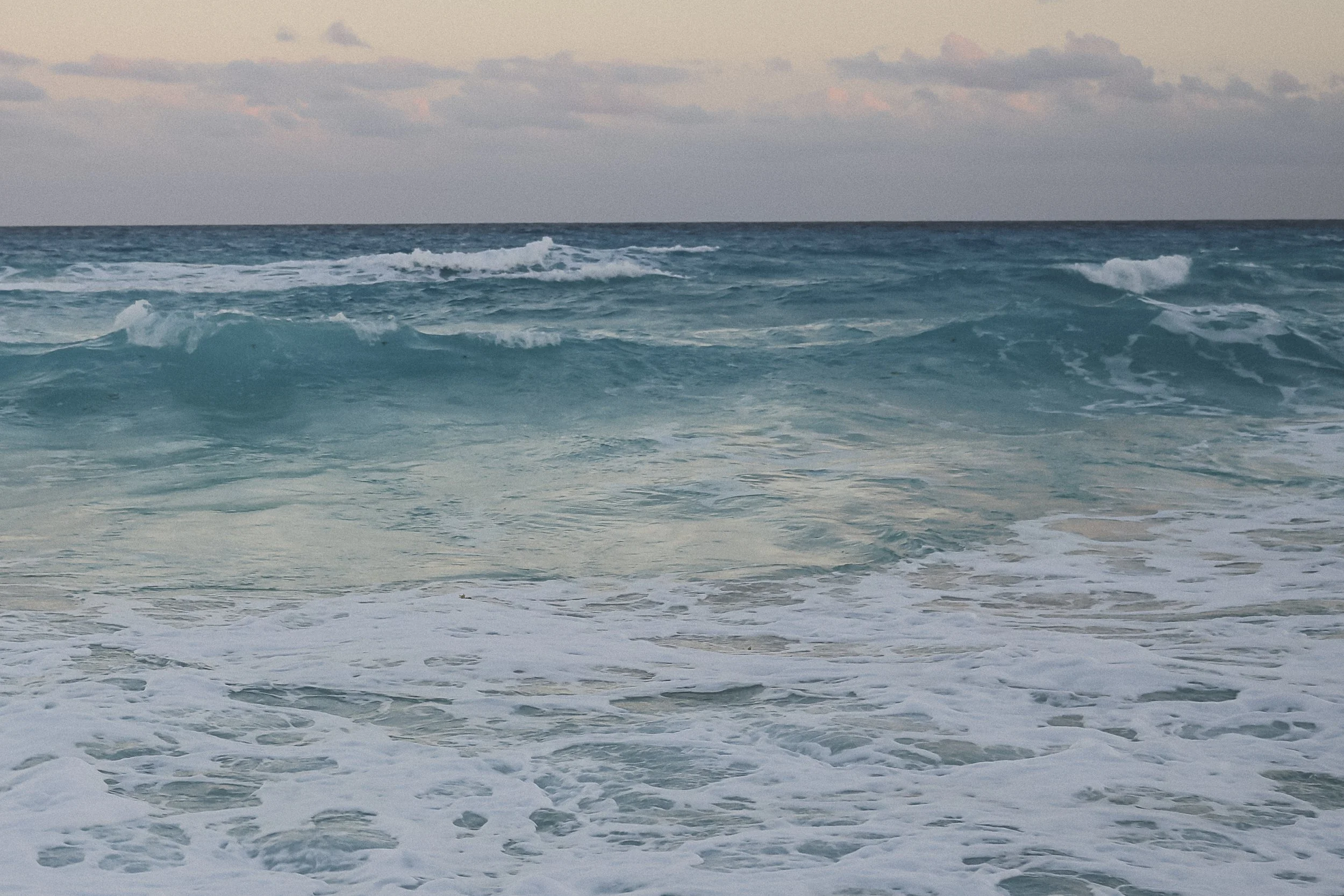 Gulf of Mexico Plate 1 8x10 Fine Art Print