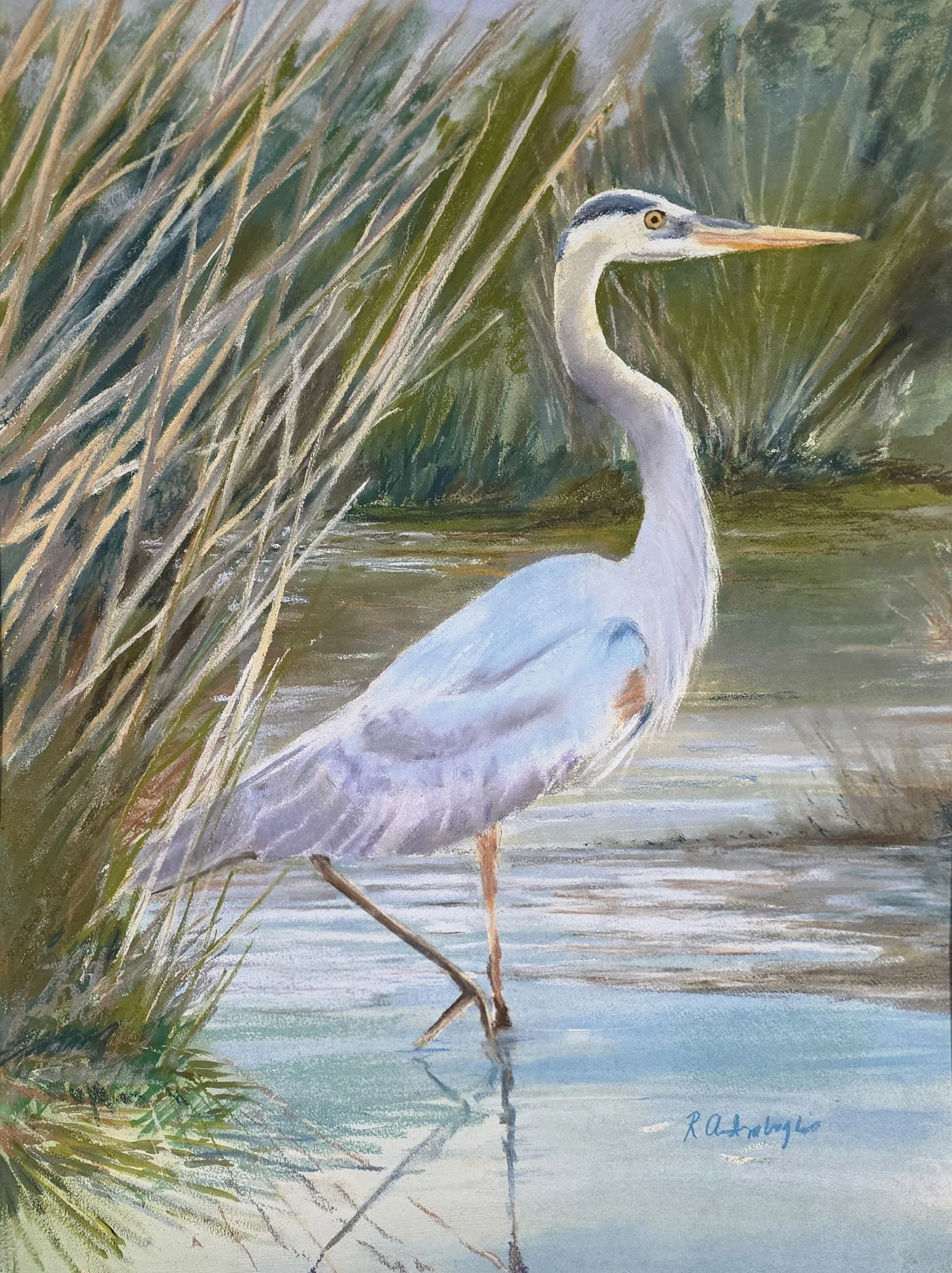 A watercolor painting of a heron standing in a pond among green reeds and grasses, with reflections in the water.