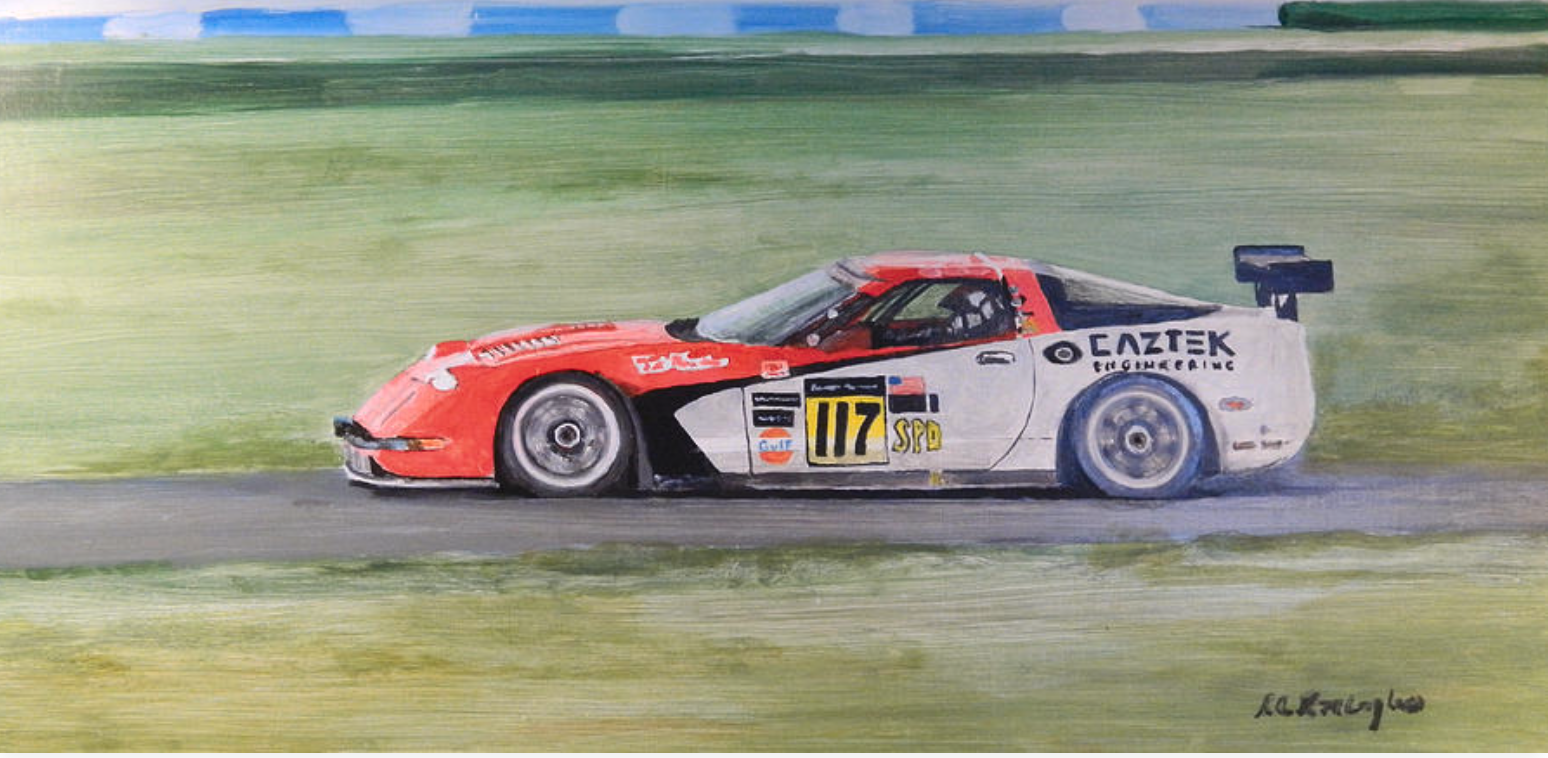 Painted illustration of a race car on a track, with a blurred green background, numbered 117, featuring red, white, and black colors.