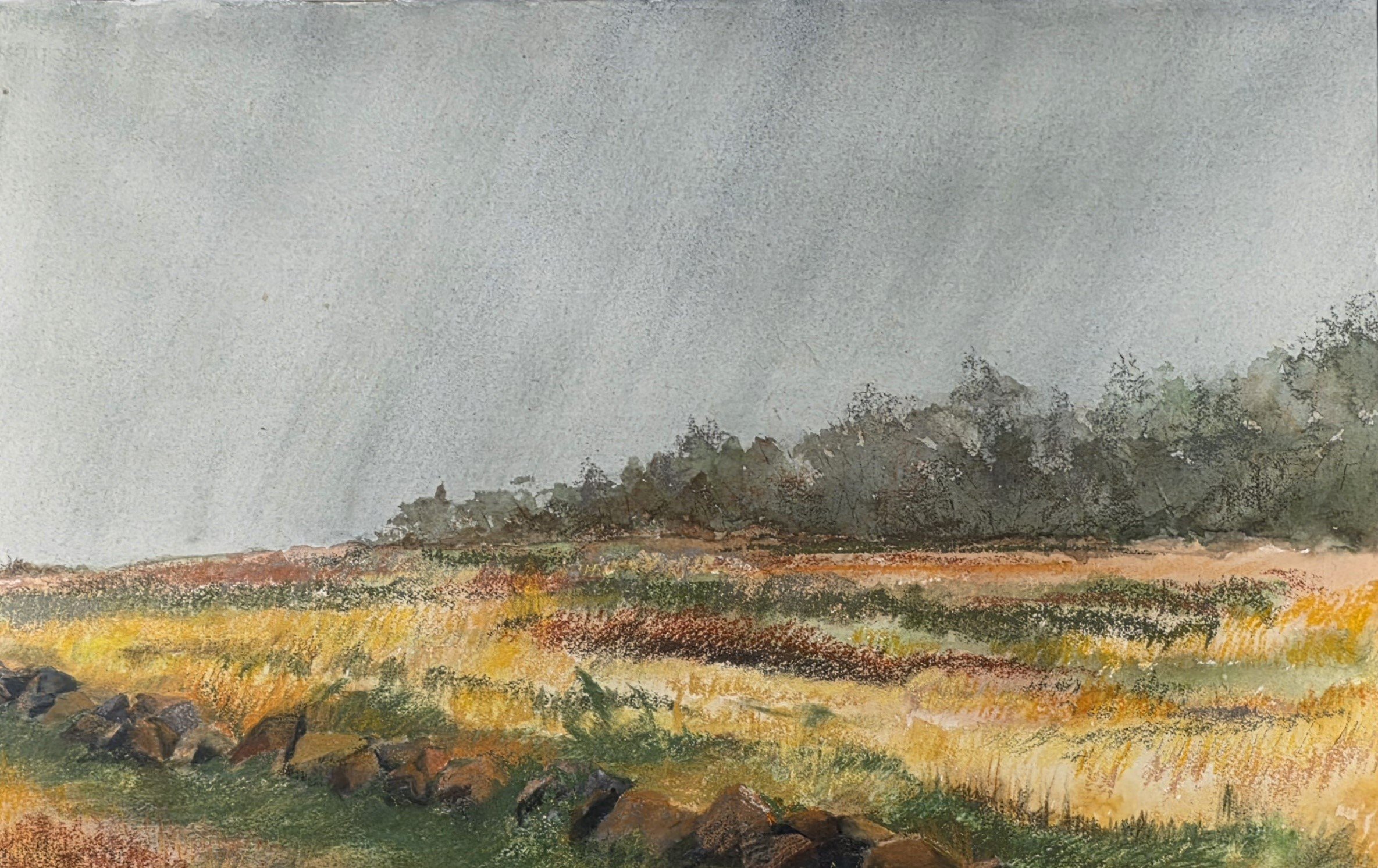 A watercolor painting of a landscape scene with a cloudy sky, distant trees, and a field with colorful wildflowers and rocks in the foreground.