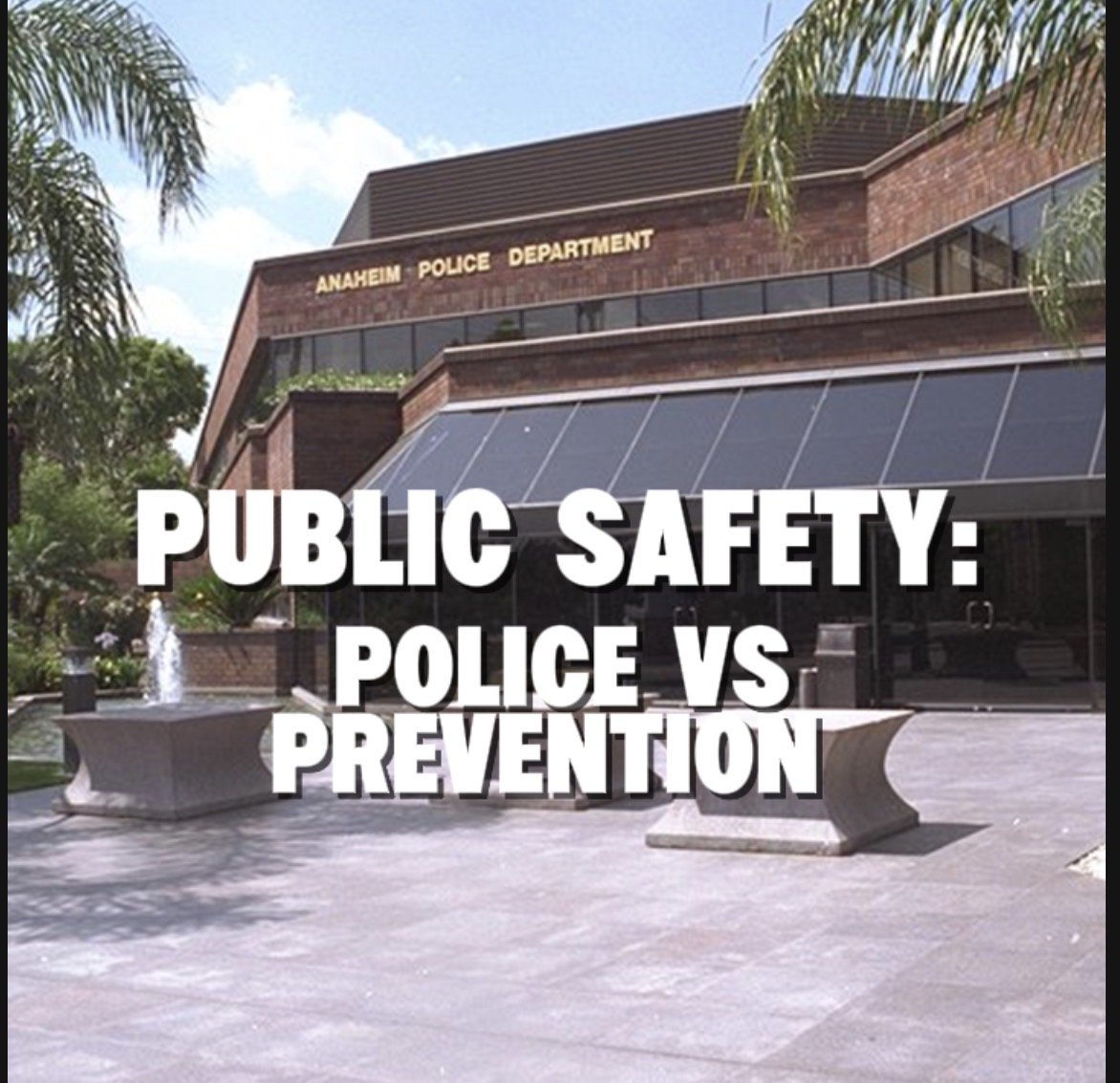 Public Safety: Police AND Prevention