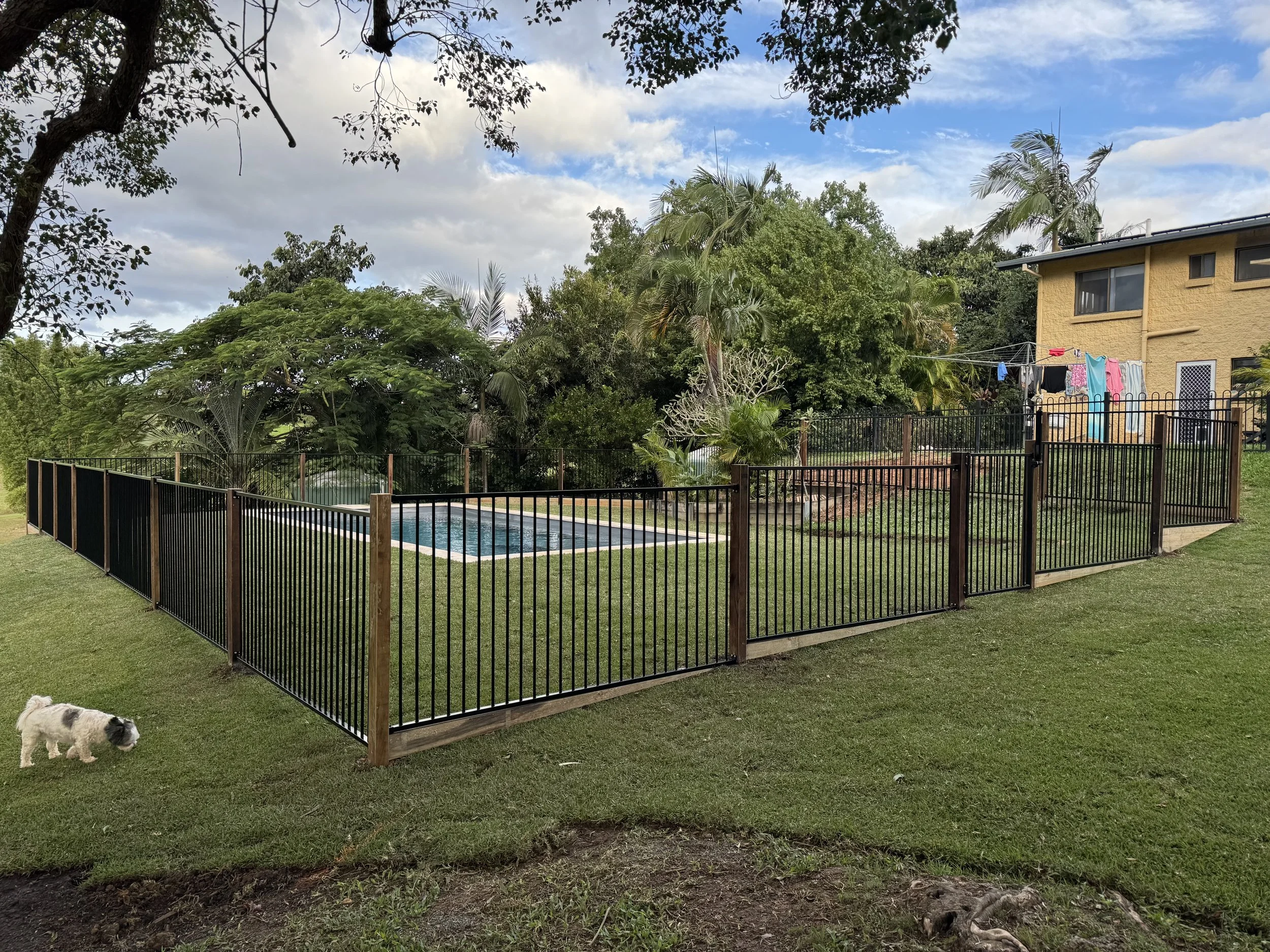 A backyard with a fenced-in swimming pool surrounded by lush green trees and a yellow house with clothes hanging on a clothesline. There is a small dog standing on the grass.