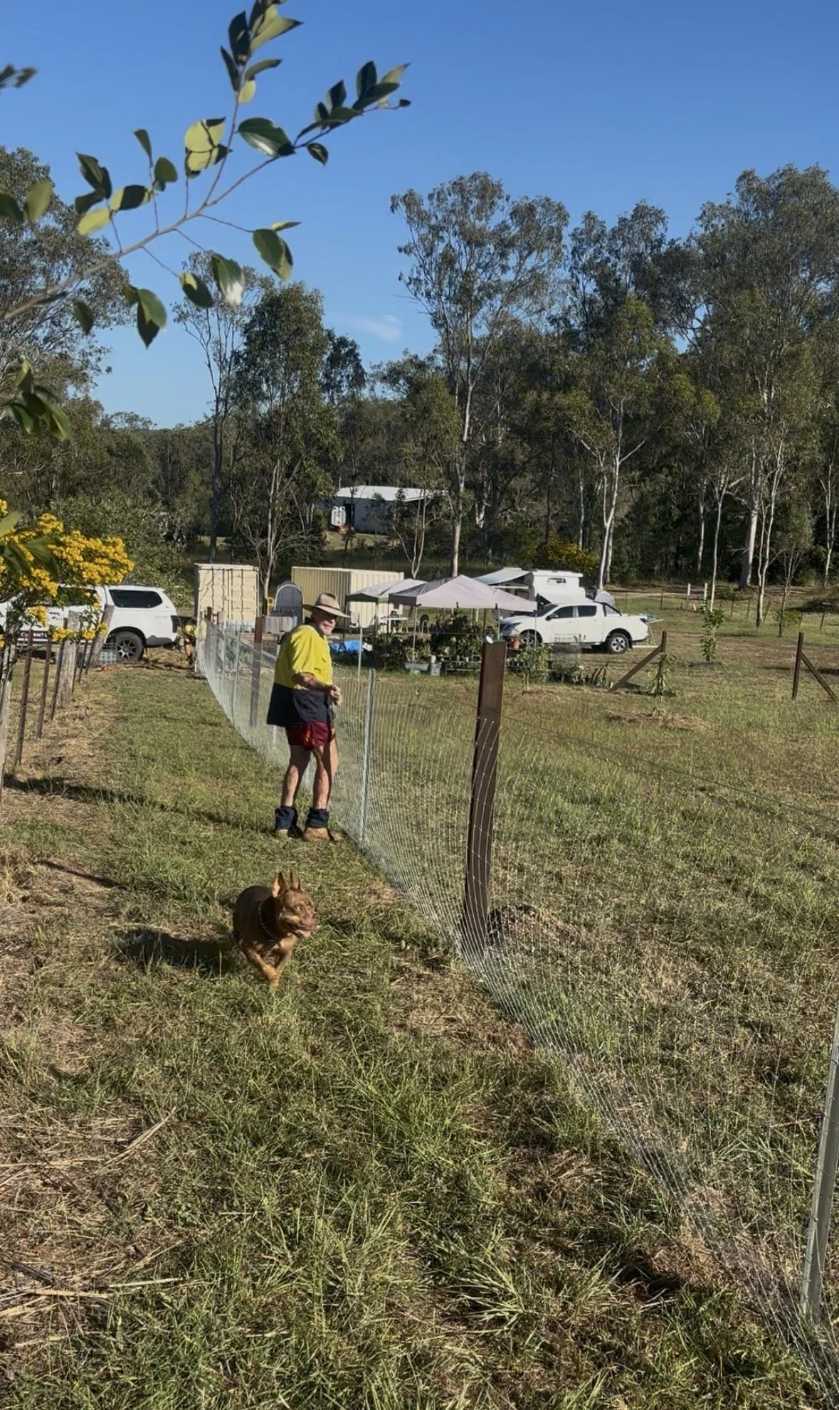 A person wearing a yellow and black jacket, red shorts, and hiking boots standing next to a dog on a leash in a fenced grassy area outdoors on a sunny day. Several white vehicles and tents are visible in the background among trees.