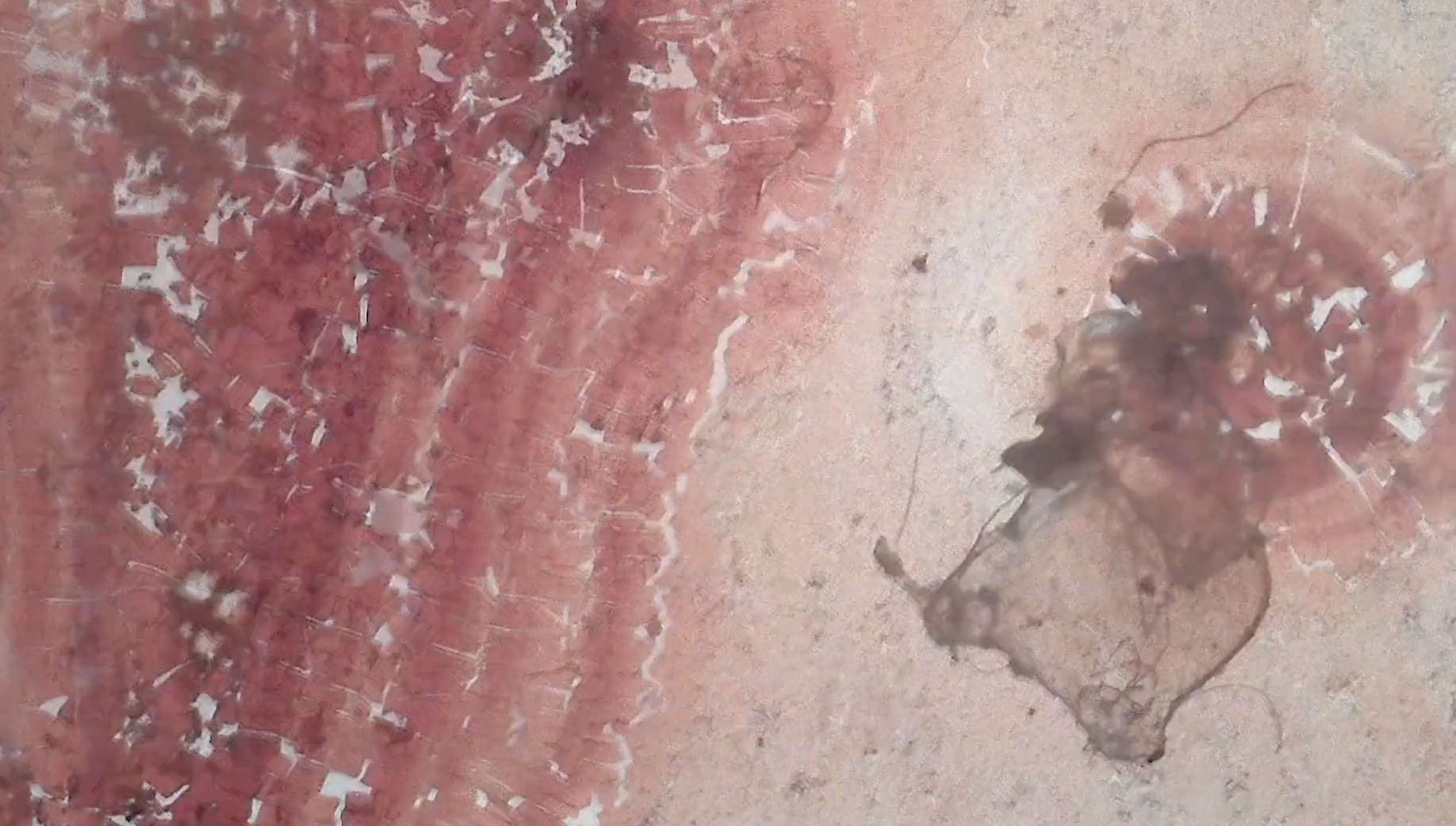 16mm film of blood and hair from the bandmates of Pathetica.