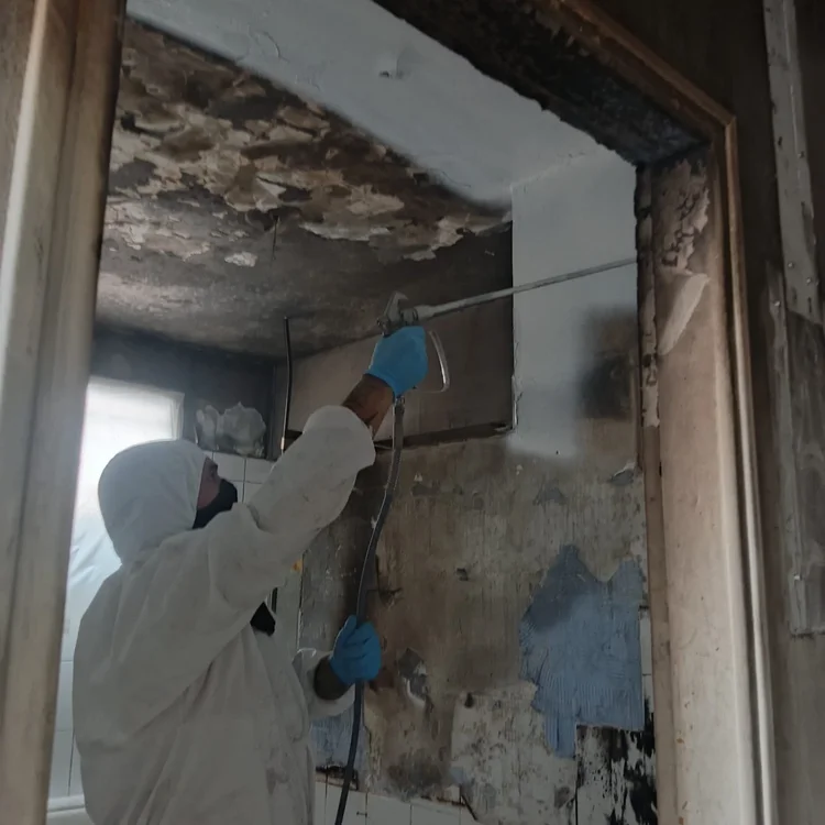 Application de coating de protection