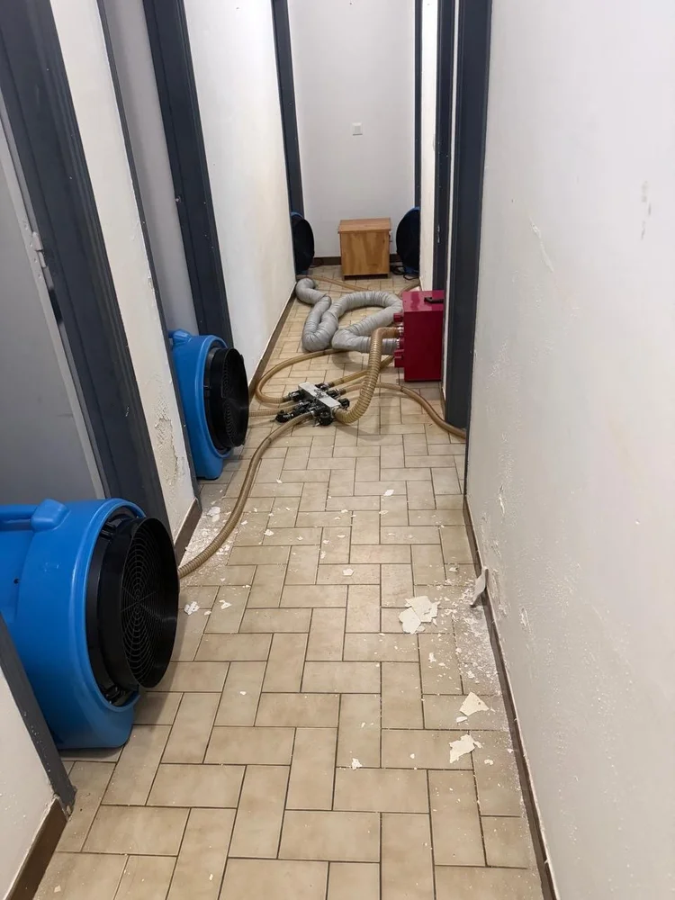 Dégât des eaux : mise en place de l'assèchement forcé