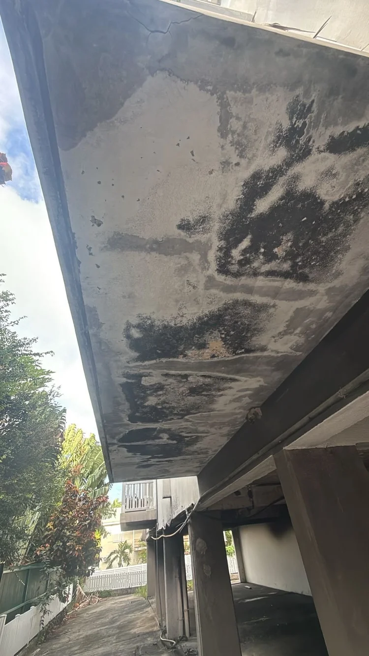 Habitation : avant décontamination