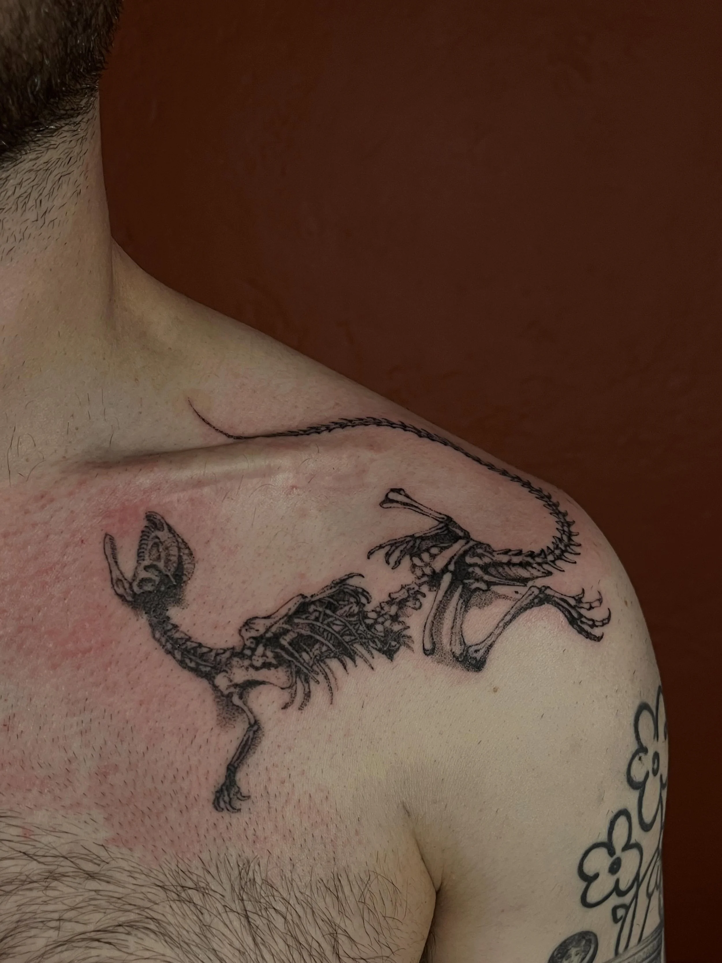 Dilophosaurus fossil from back in January! This one was an absolute blast, god I miss tattooing bones. 
&bull;
Currently booking July + August, DM or email to book! #dilophosaurus #dinosaurtattoo #handpoke #longbeachtattooartist #paleontology