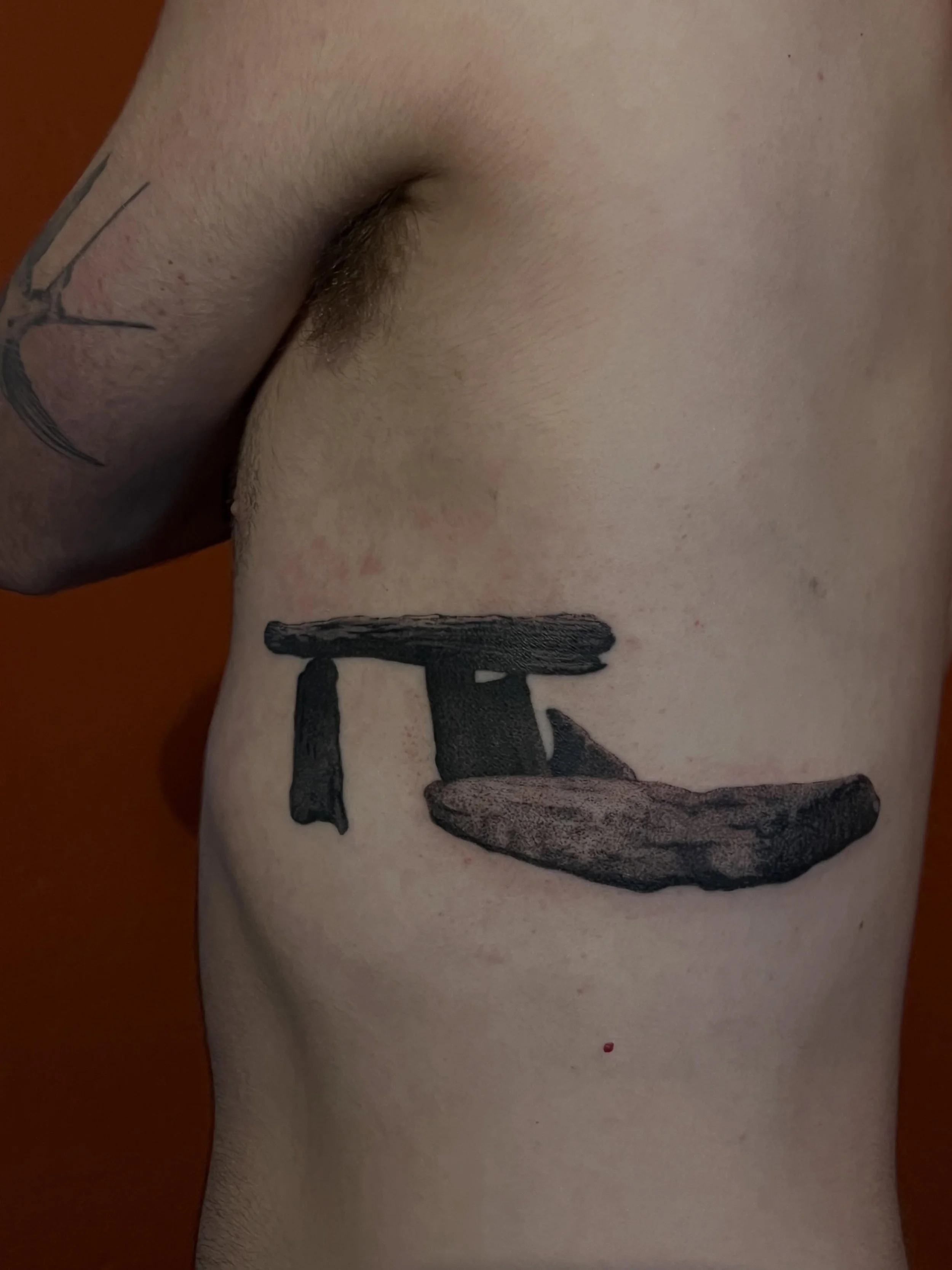 Suuuper fun Neolithic rock structure (this one&rsquo;s from an album cover) from the tail end of last year, for Brian! Thanks so much for the trust - love doing stuff like this. 
&bull;
#handpoke #machinefreetattoo #ancientart #neolithic #realismtatt