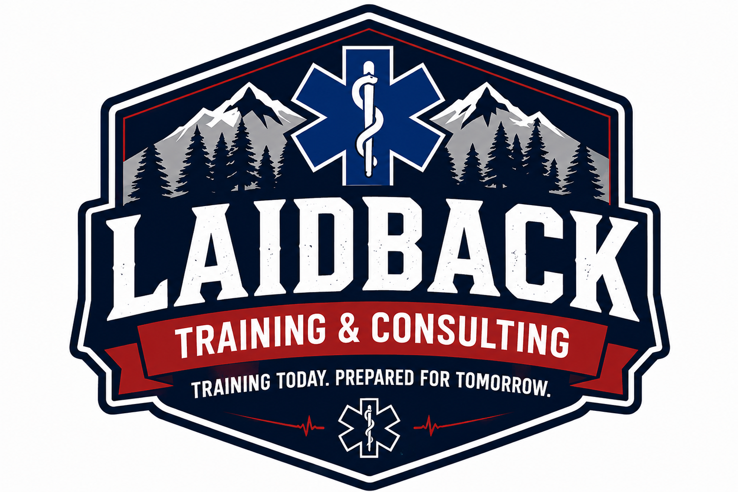 Laidback Training and Consulting