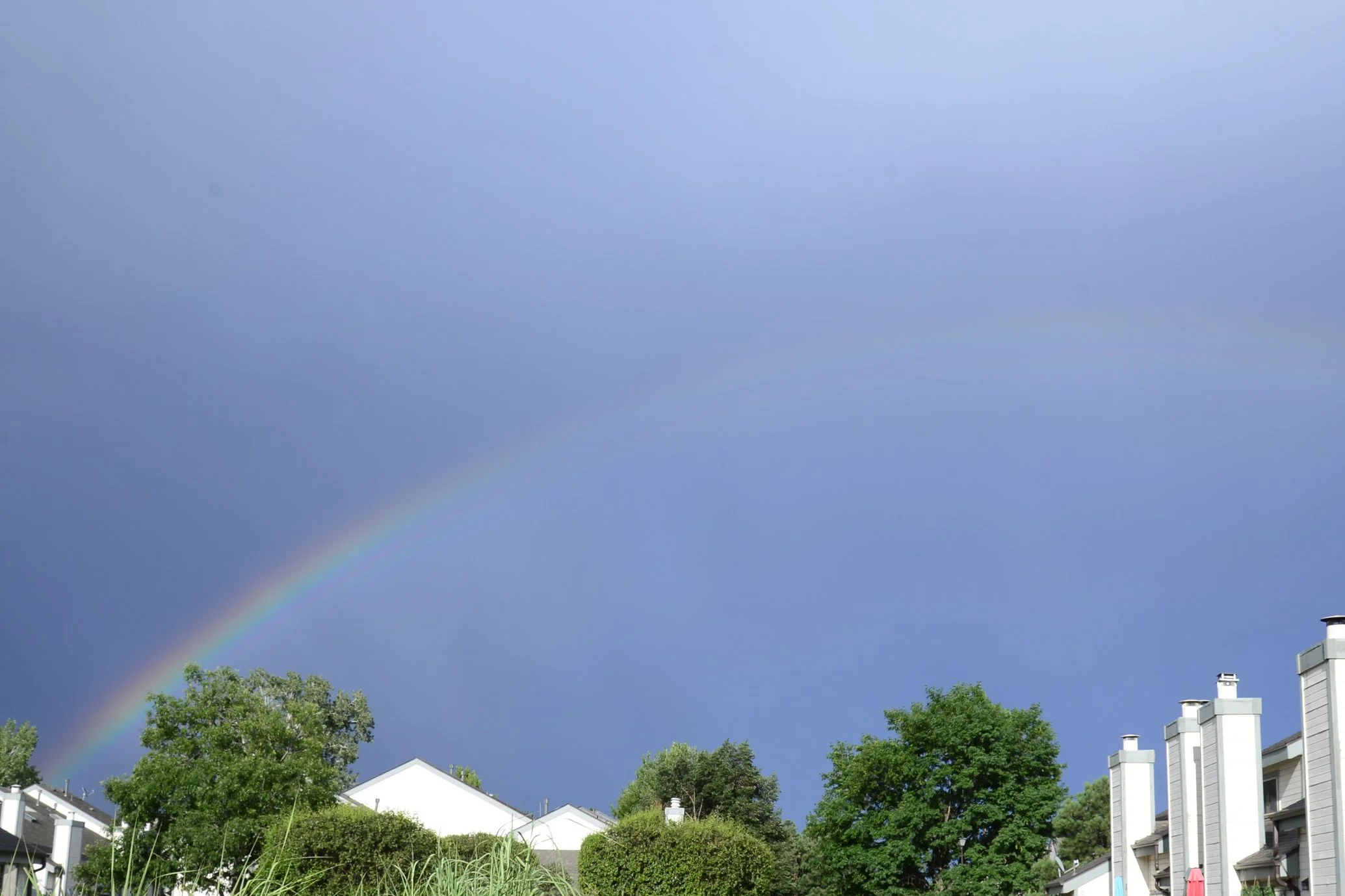 A rainbow arching across a gray sky above residential houses and trees.