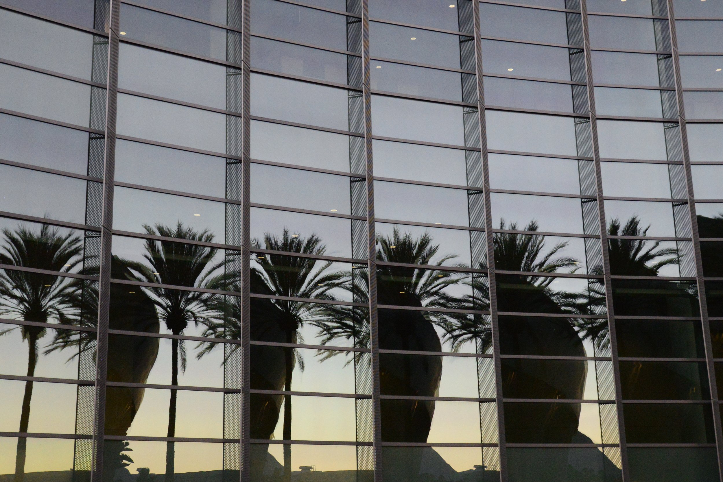 Reflection of palm trees and a mountain on a glass building facade at sunset.
