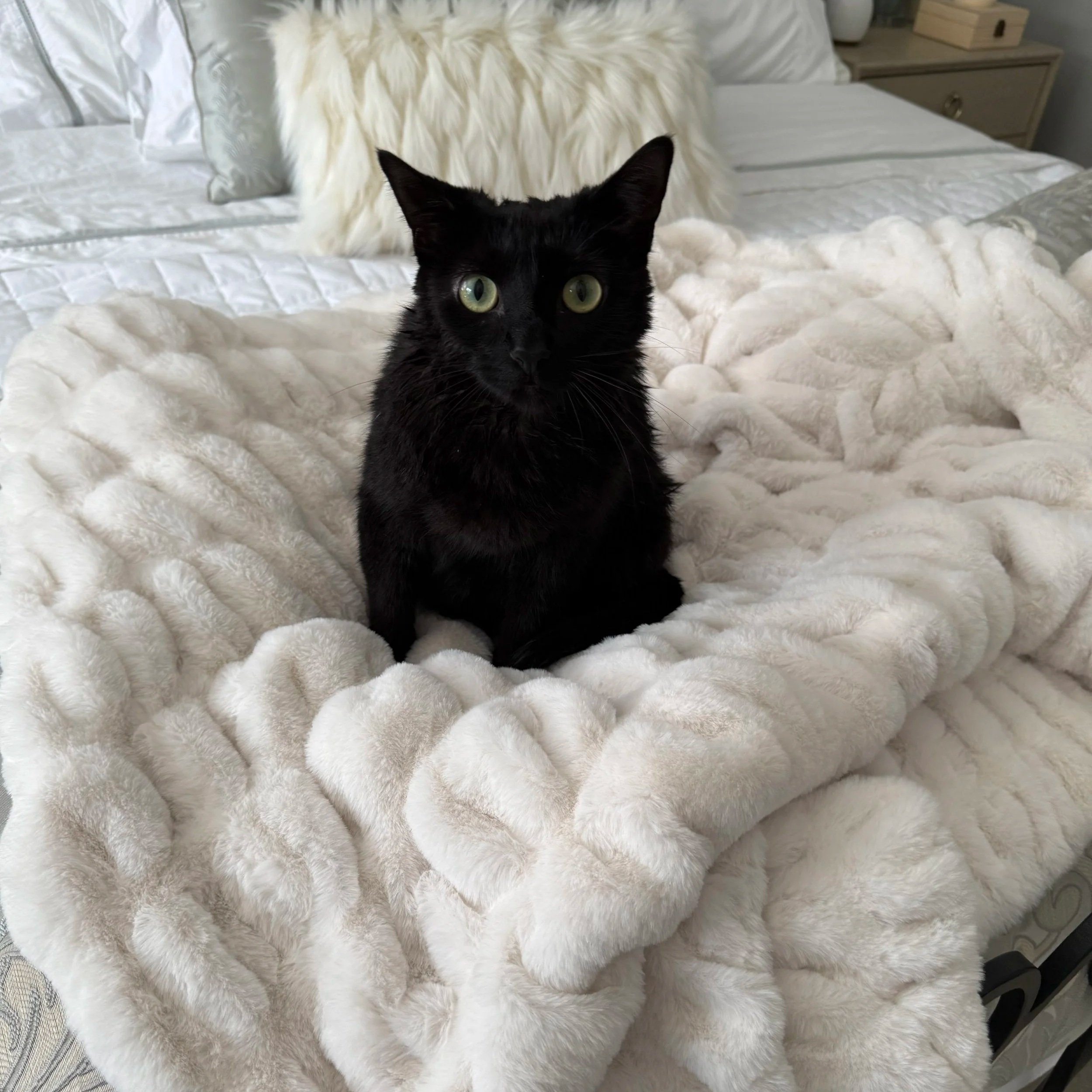 LOLA Original Blanket — Creamy Cloud