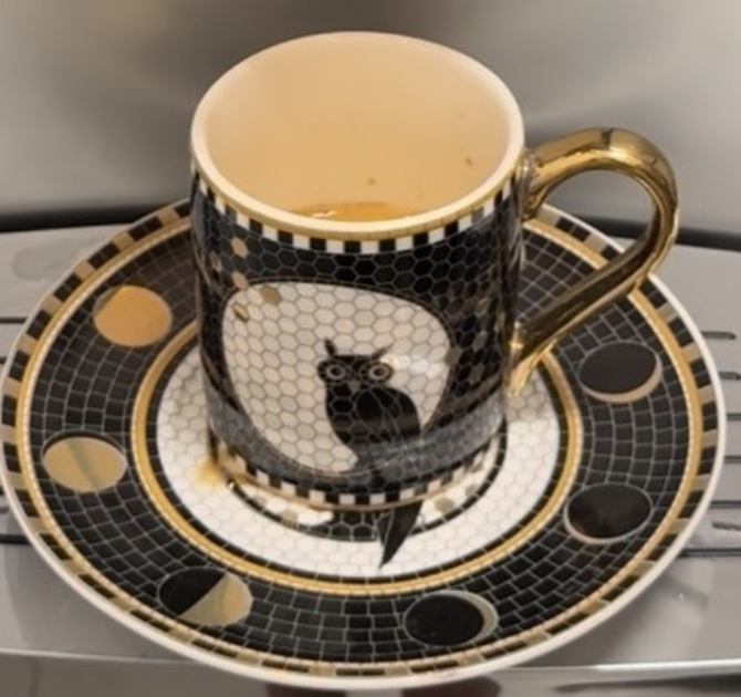 Anthropologie Bistro Tile Halloween Owl Espresso Cup