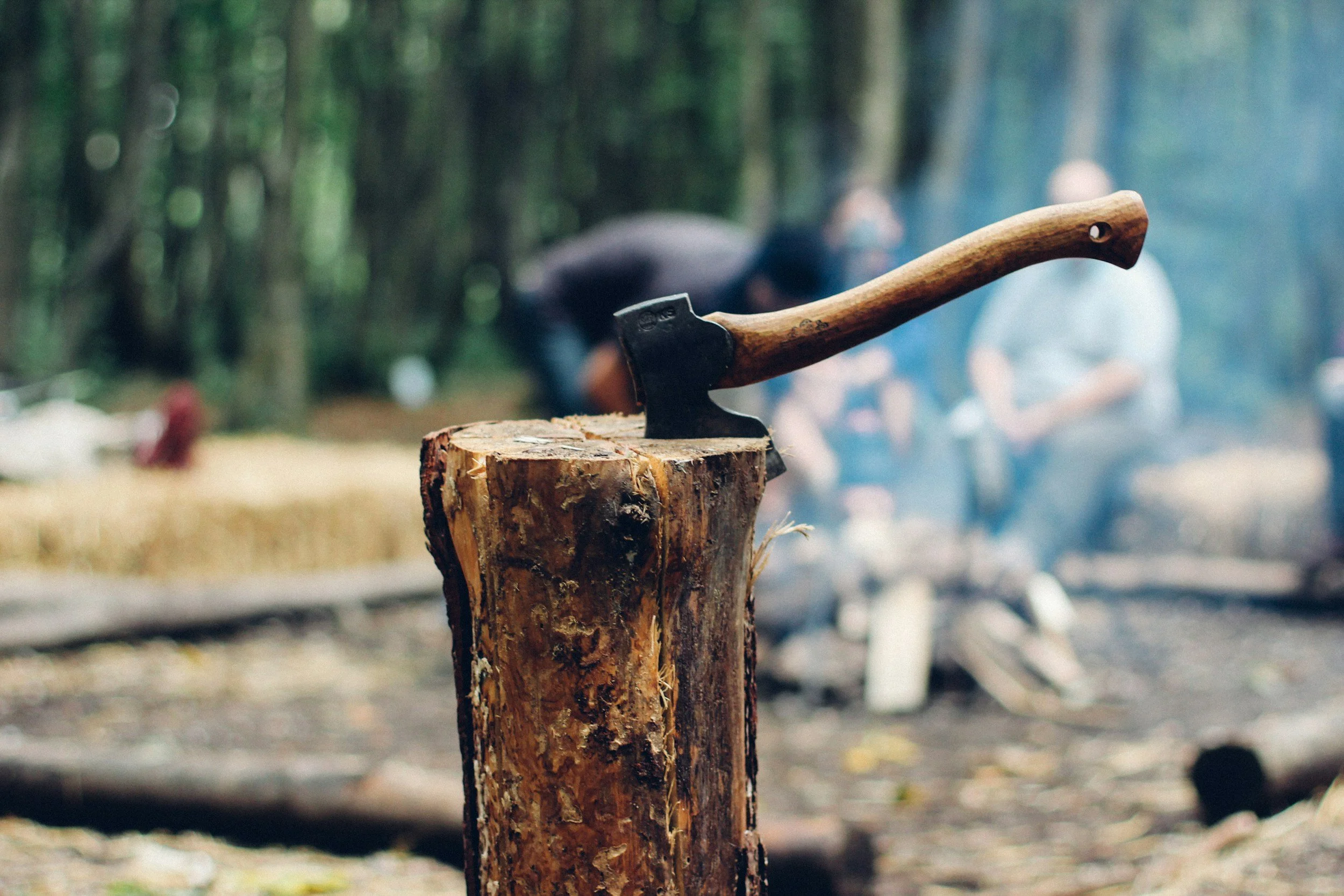 An axe embedded in a tree stump outdoors, with a blurred background of trees and people.
