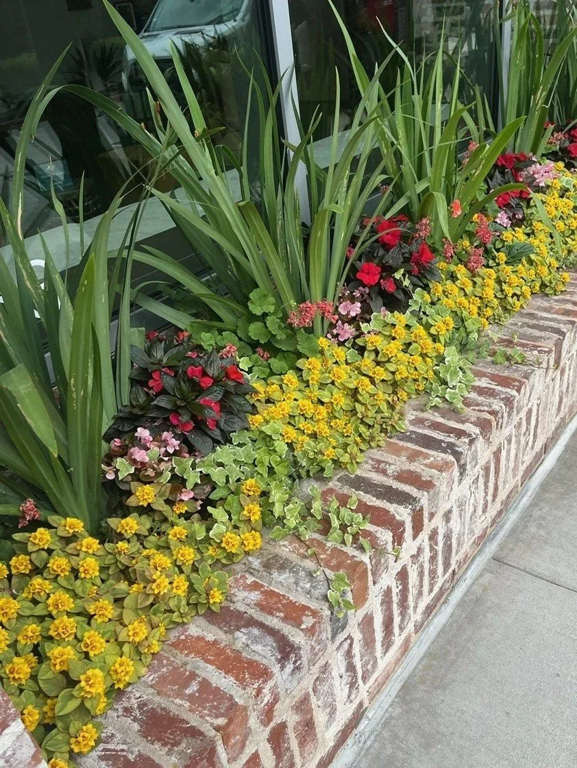 Raised brick planting bed filled with colorful flowers and greenery