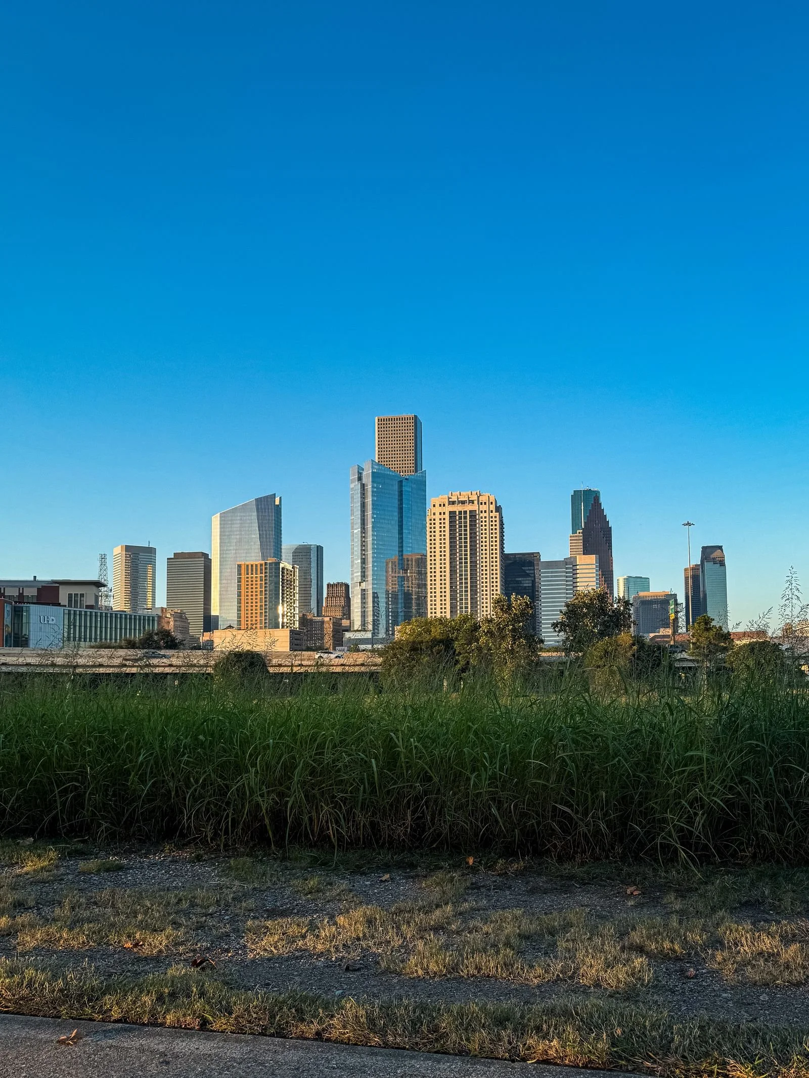 Downtown Houston skyline