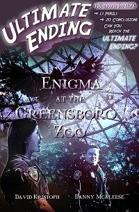 Book cover for 'Enigma at the Greensburg Yoda' with a dark, mysterious background, featuring silhouettes of a man and a woman, starry sky, and moonlit scenery.