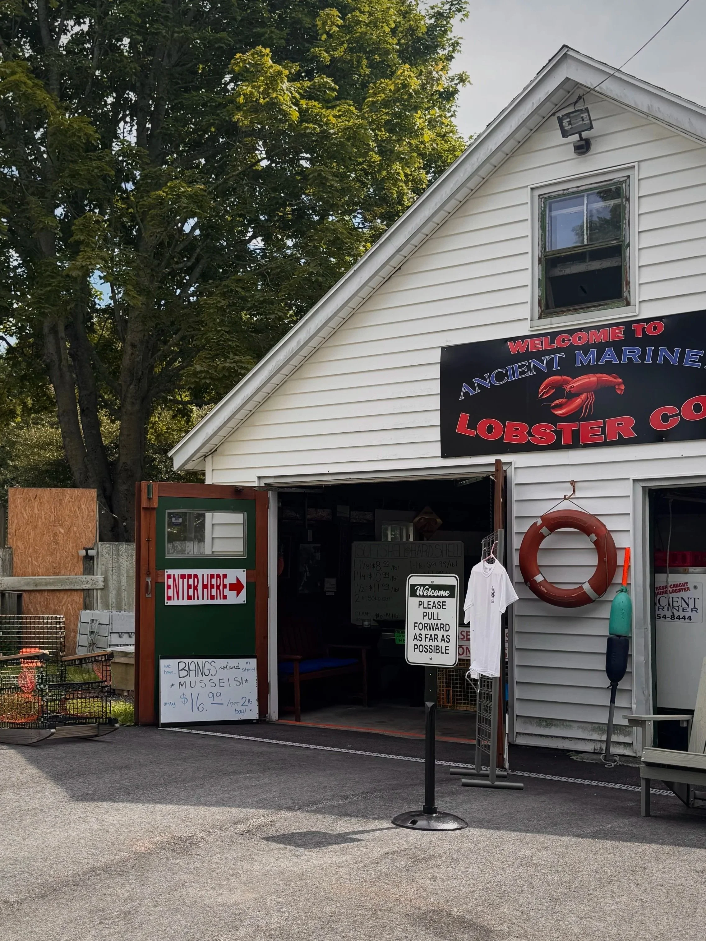 Exterior of a small seafood shop with signs advertising mussels for $16.99 and lobster. The shop has a white siding exterior and a sign saying 'Welcome to Ancient Marine Lobster Co.' There is a green entrance door with an 'Enter Here' sign, and a white T-shirt and life preserver are visible outside.