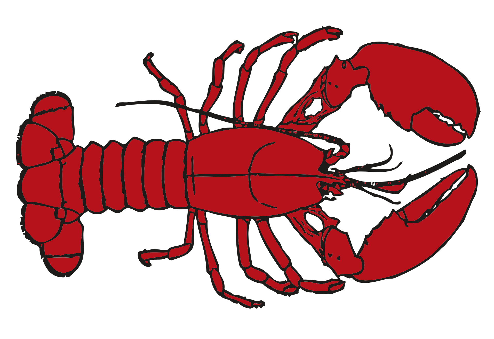 Illustration of a red lobster with black outlines.