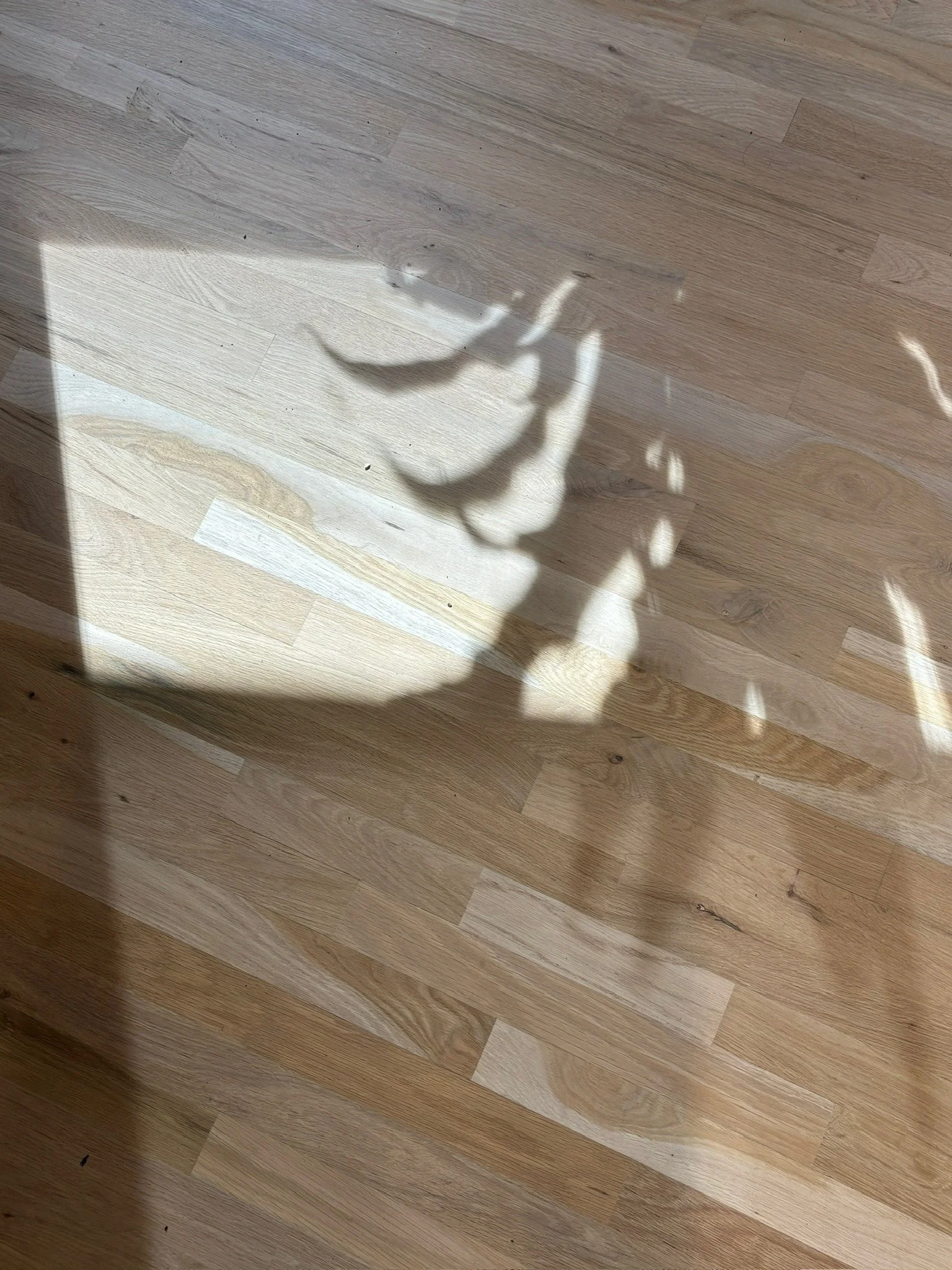 Shadow of a hand making the peace sign on a wooden floor, with sunlight and a part of a dark object in the bottom left corner.