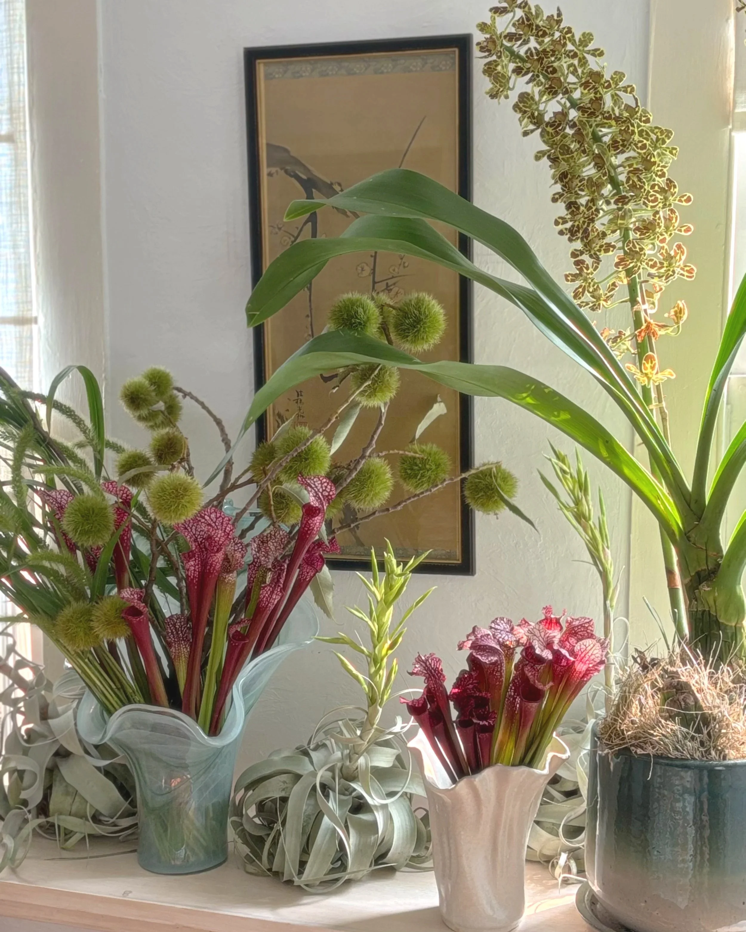 Various houseplants in different vases on a windowsill, with a framed artwork hanging on the wall behind them.