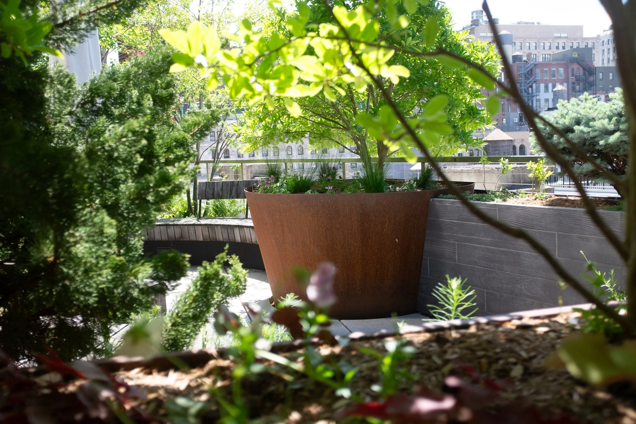 View of potted planters on an outdoor rooftop with buildings in the background, seen through surrounding foliage.
