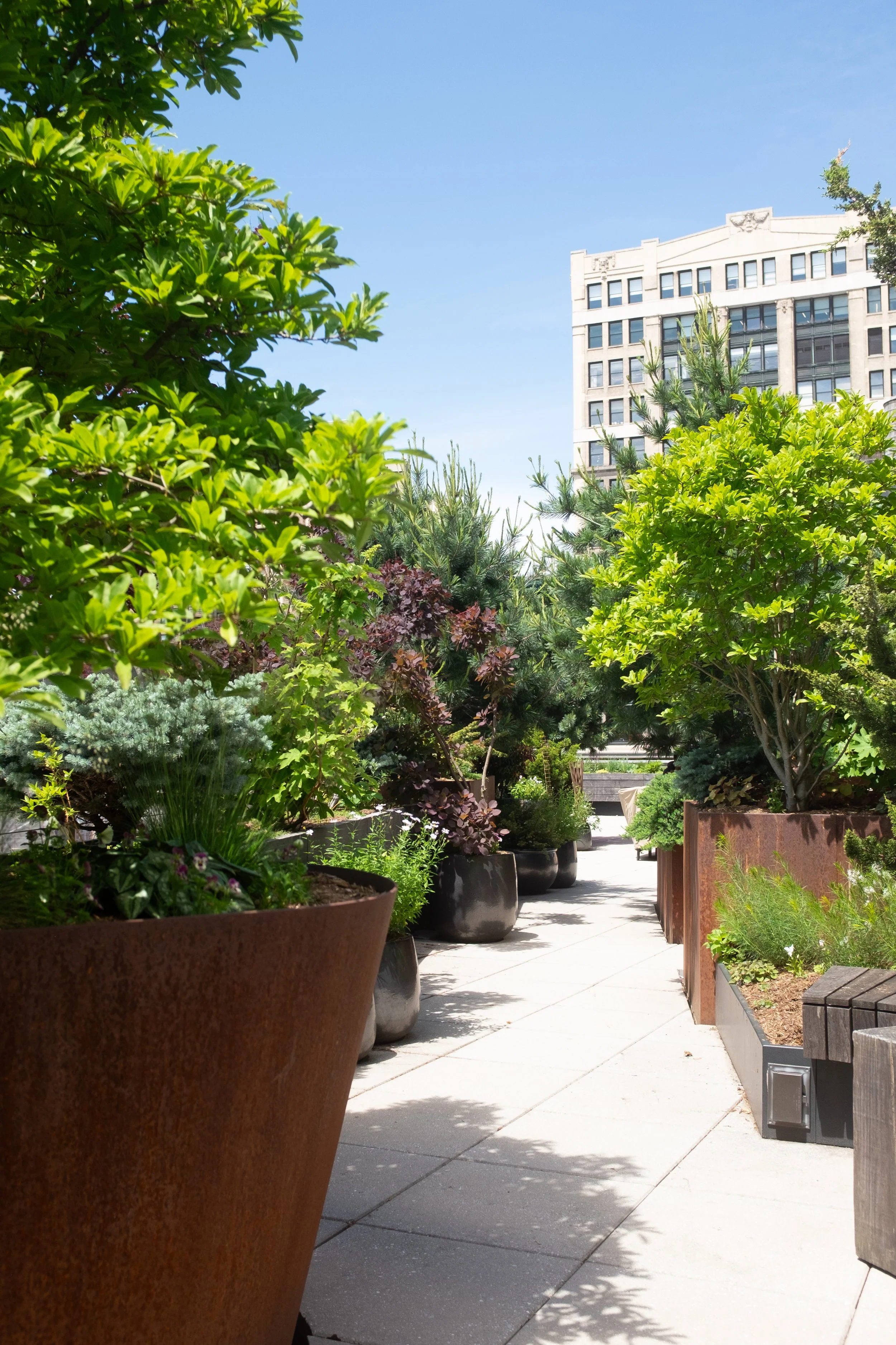 A rooftop garden with large planters full of lush green plants, trees, and shrubs, with a cityscape building in the background under a clear blue sky.