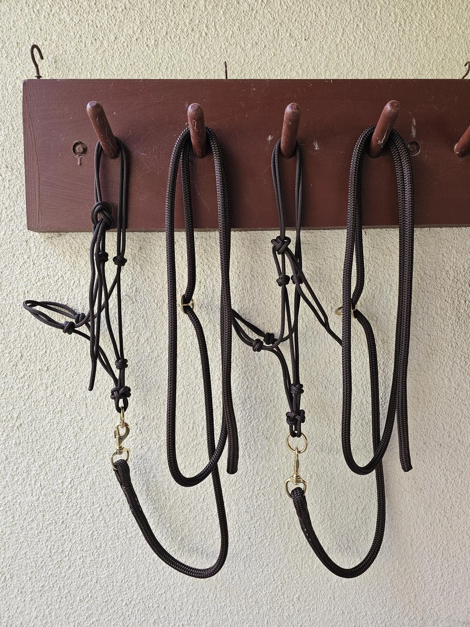 brown halters and leads (1).jpg